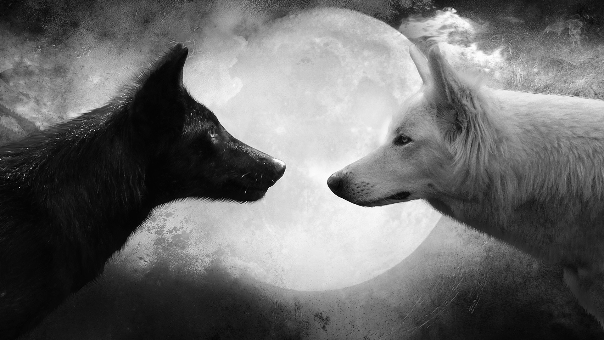 Wolf Black White Moon 1920x1080