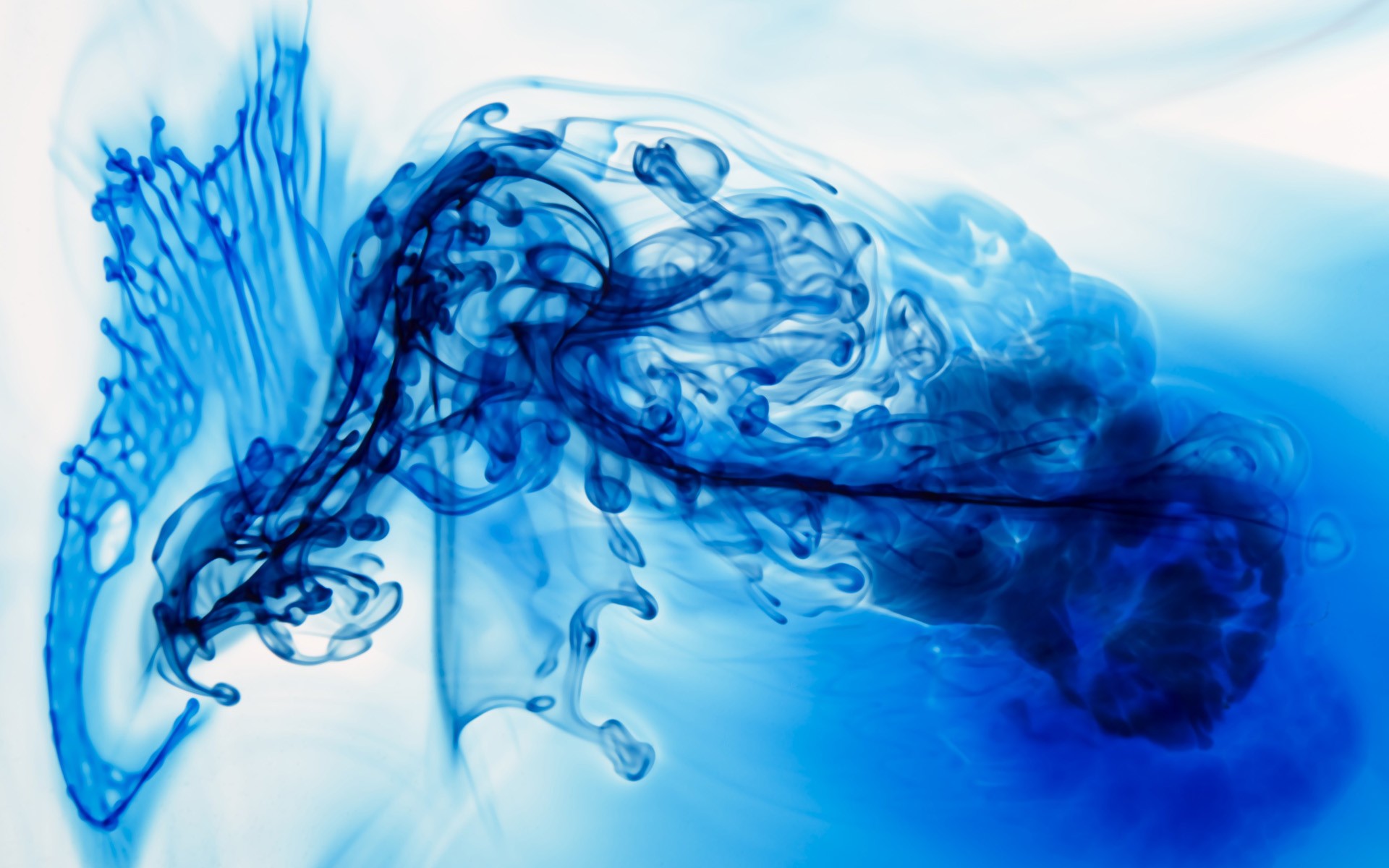 Paint In Water Ink Abstract Blue Diffused Cyan 1920x1200