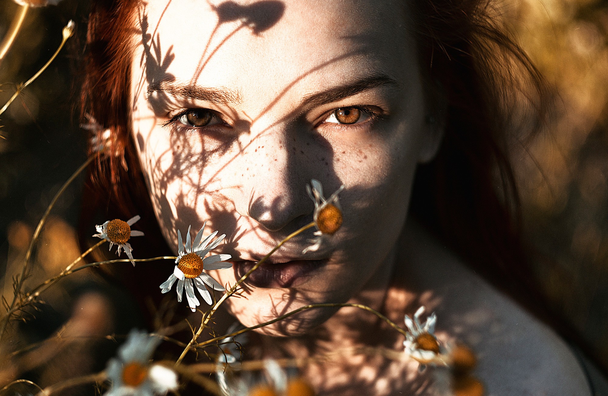 Women Model Face Sunlight Women Outdoors Freckles Daisies Brown Eyes 2000x1303