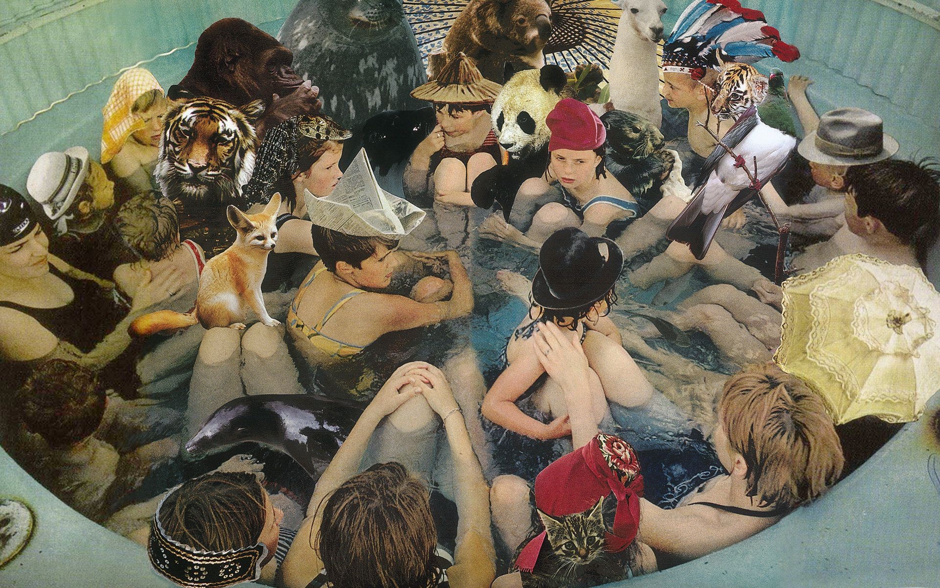 Album Covers Cover Art Music Swimming Pool Children Tiger Fennec Panda Llamas Koalas Gorillas Seals  1920x1200