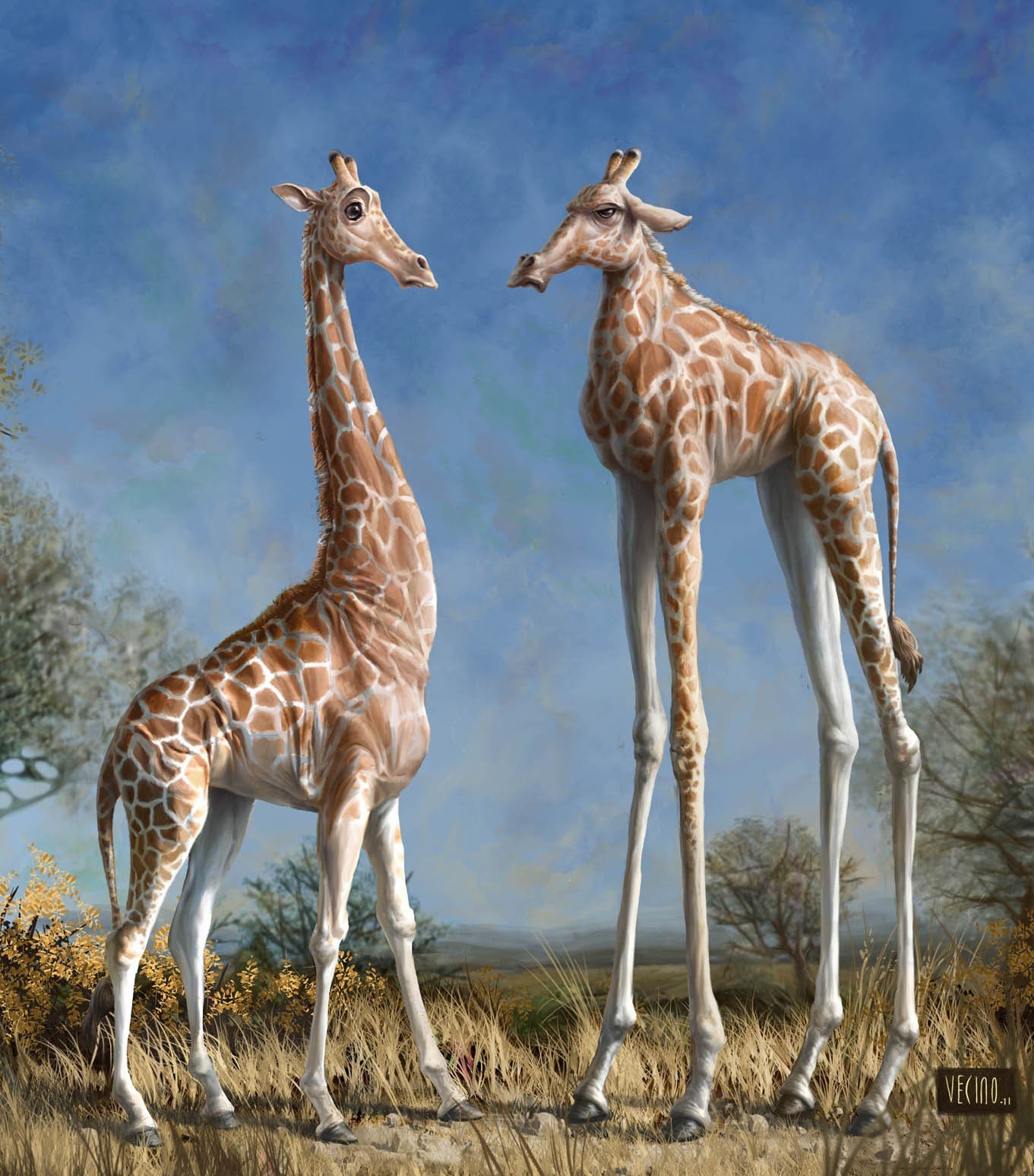 Giraffes Animals Humor Artwork 1361x1548