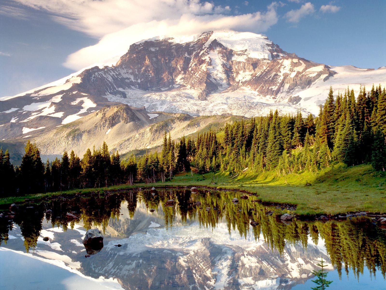 Landscape Mt Rainier Nature Lake Trees Pine Trees Snowy Peak Snowy Mountain Reflection 1600x1200