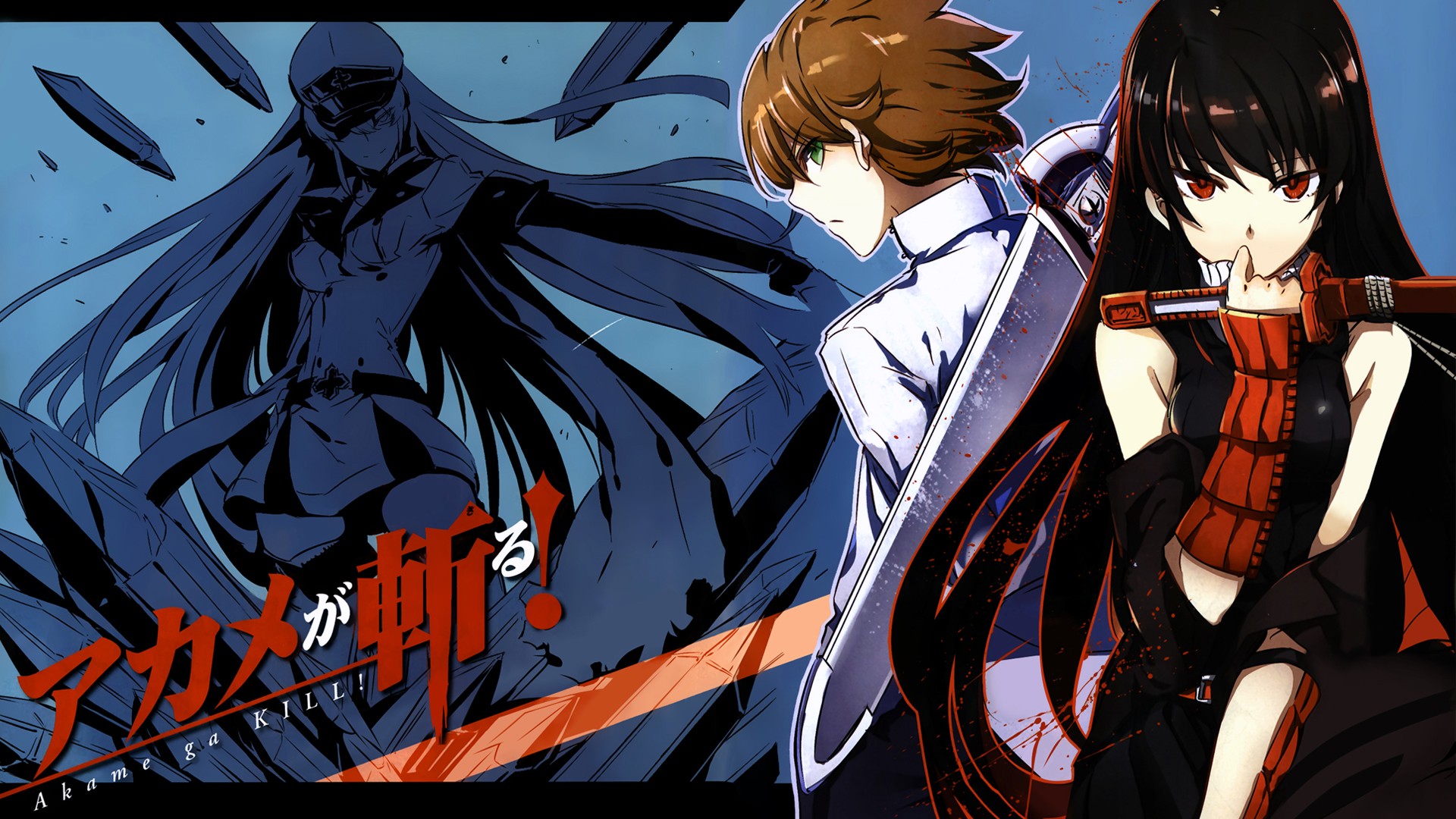 Anime Anime Girls Akame Ga Kill Akame Tatsumi Esdeath Anime Boys 1920x1080