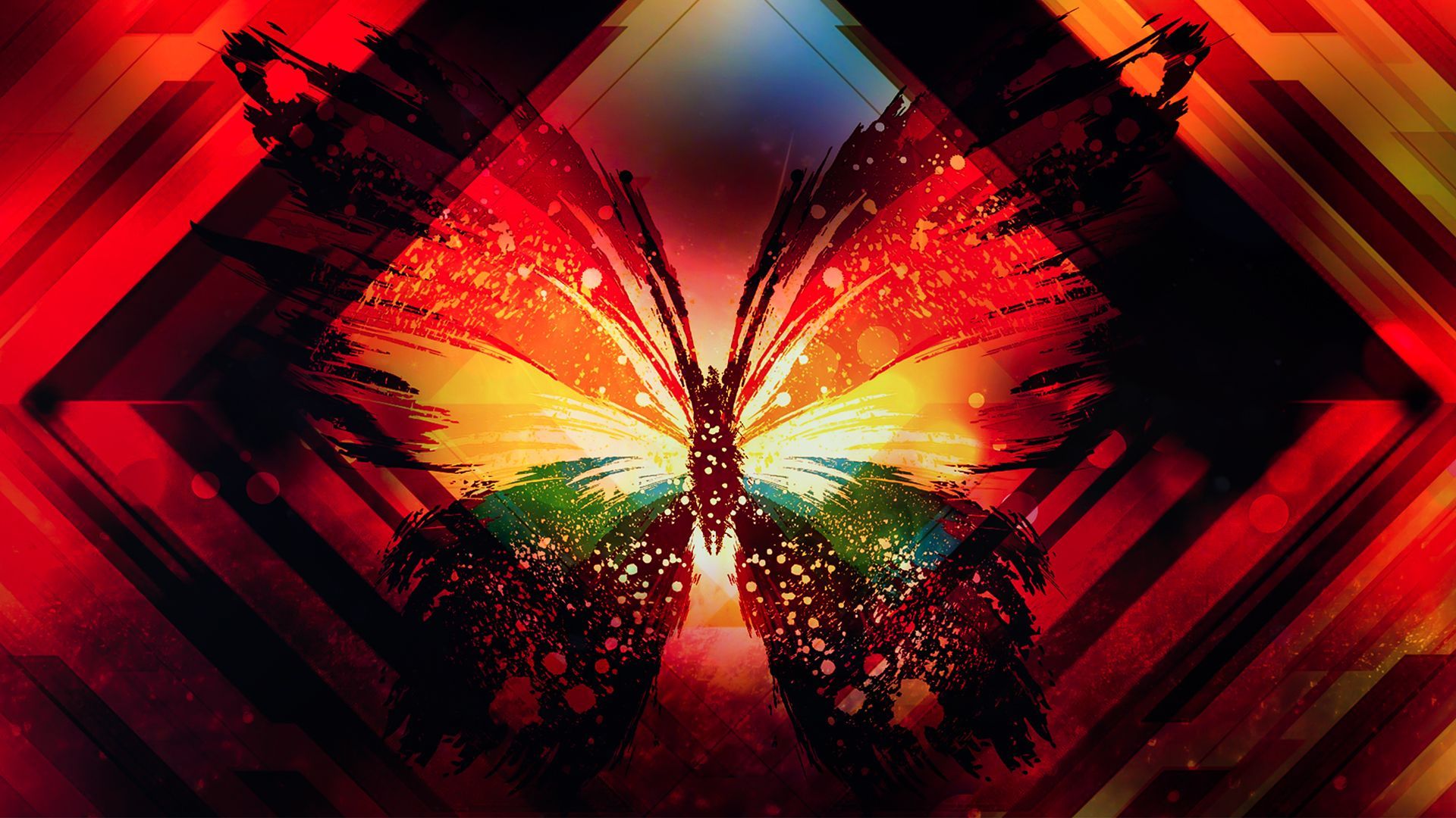 Abstract Butterfly Colors Colorful 1920x1080