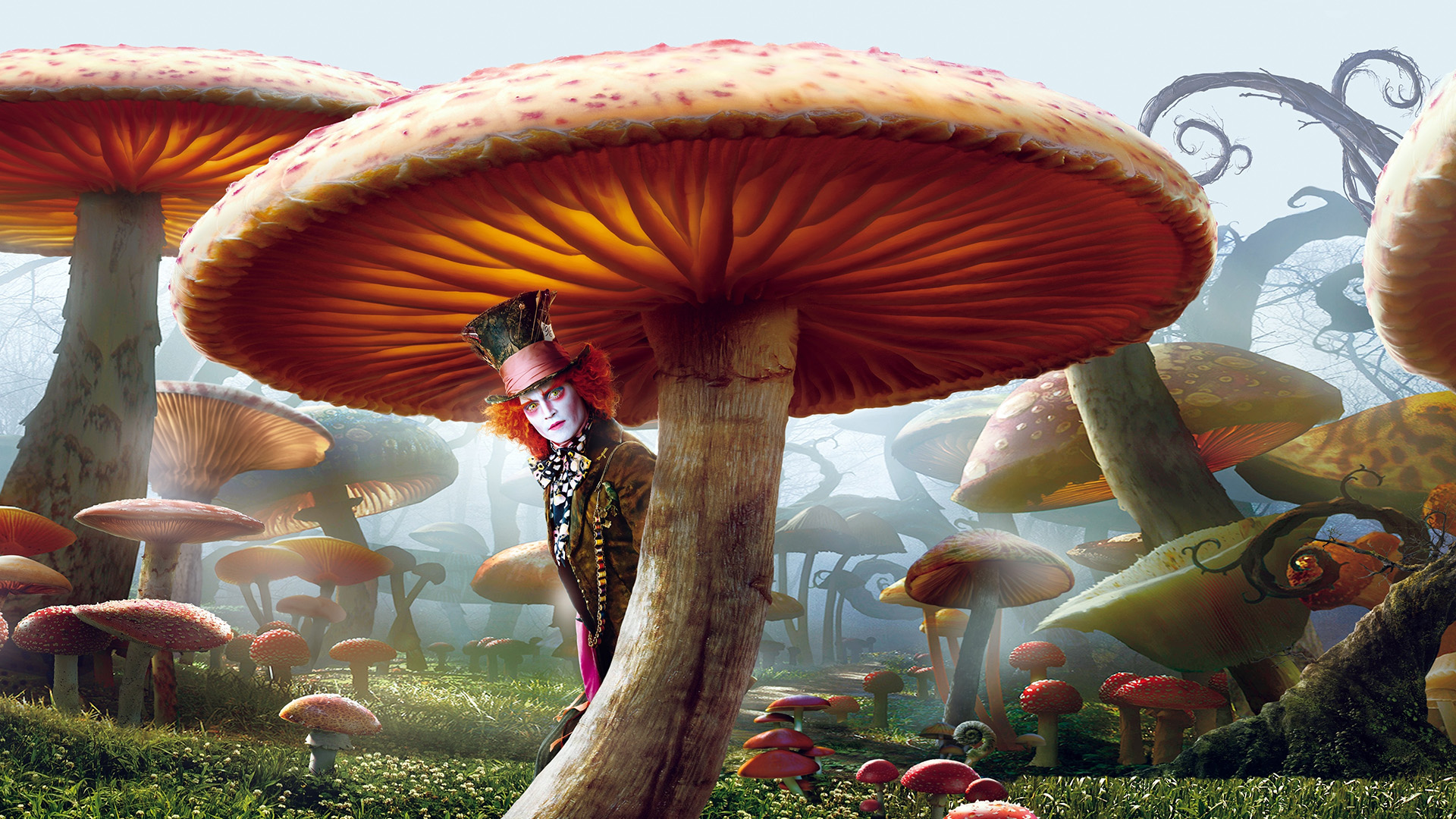 Johnny Depp Mad Hatter Fantasy Mushroom 1920x1080