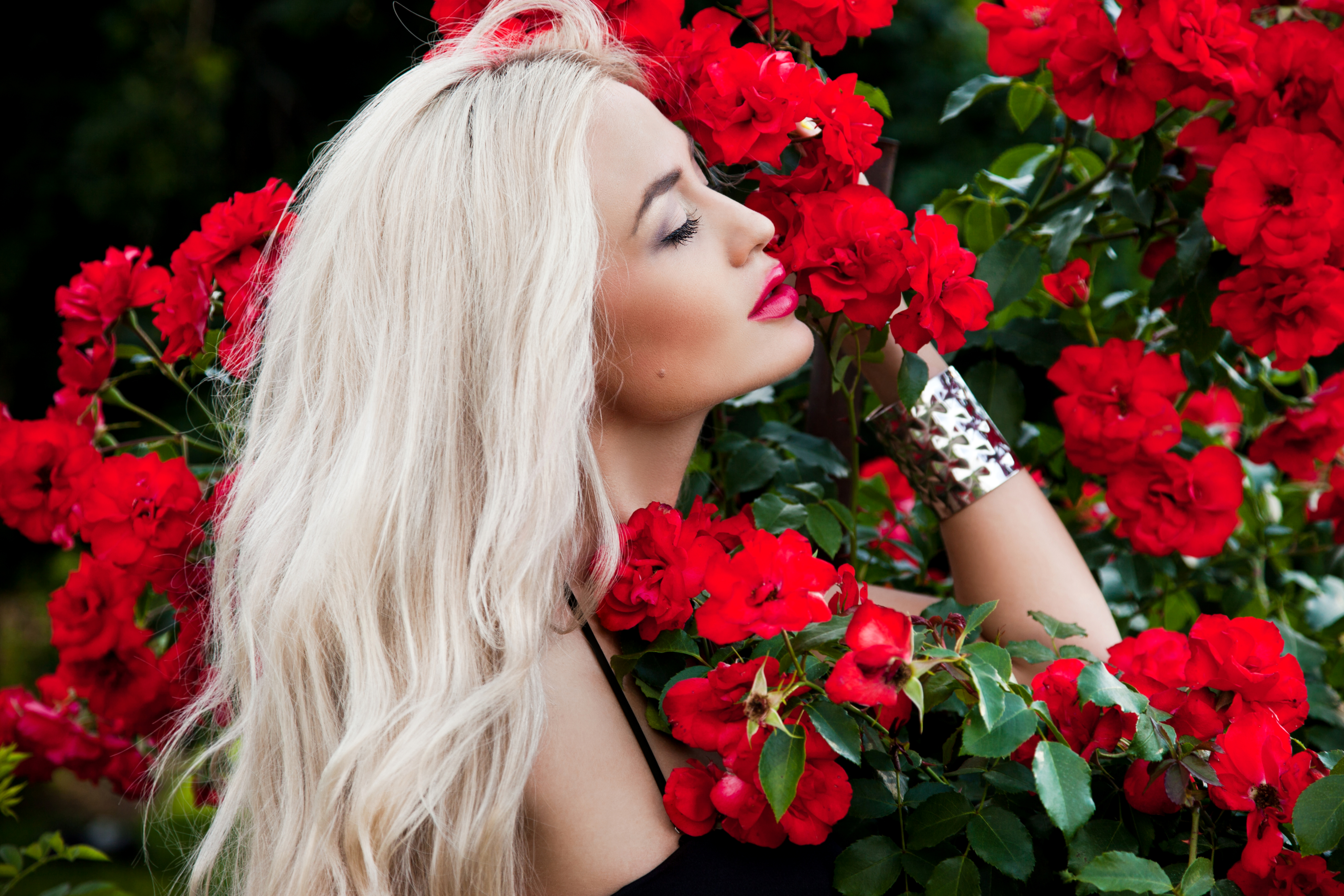 Woman Model Girl Mood Lipstick Red Flower Blonde Rose Rose Bush 5616x3744