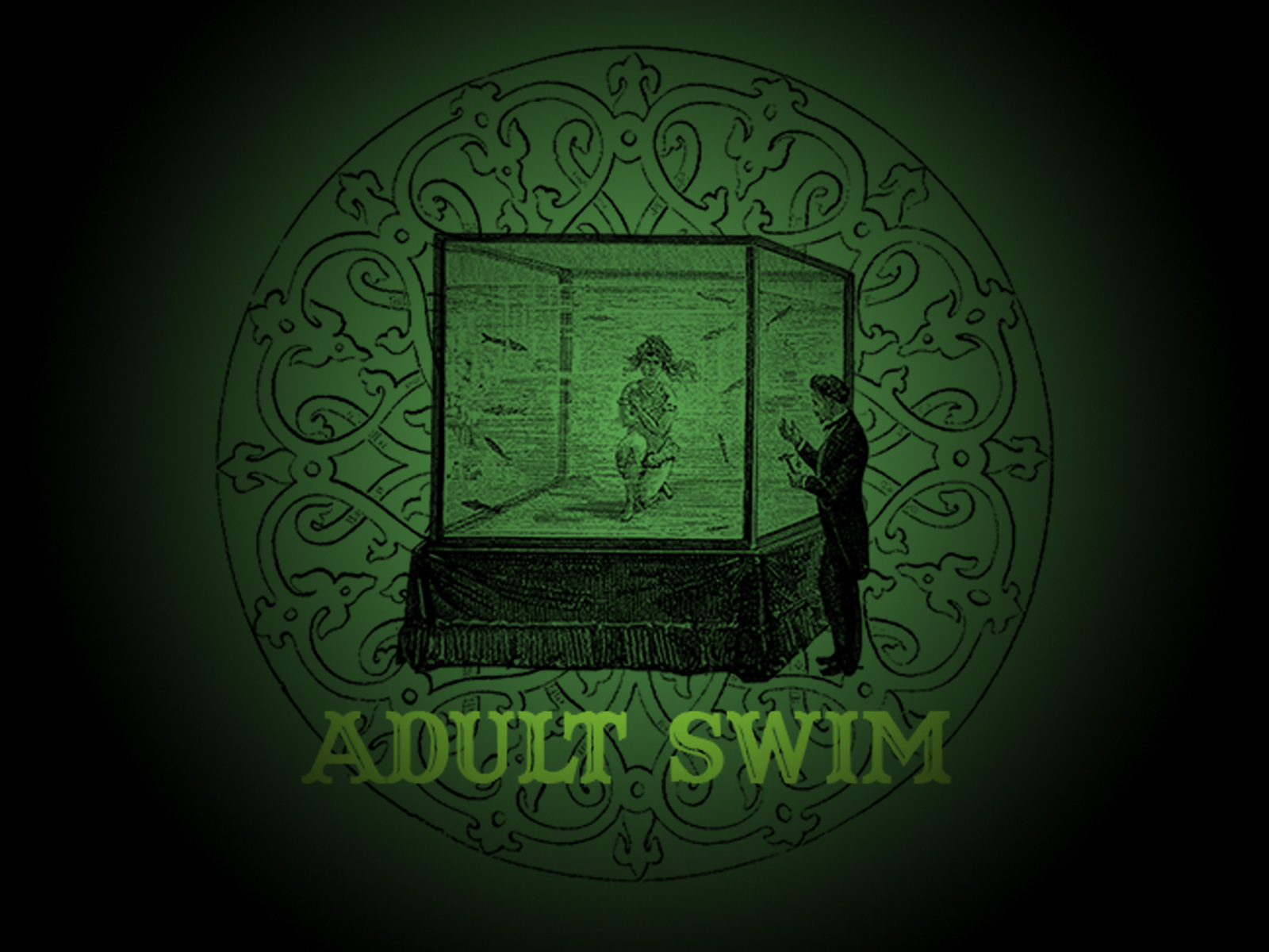 TV Show Adult Swim 1600x1200