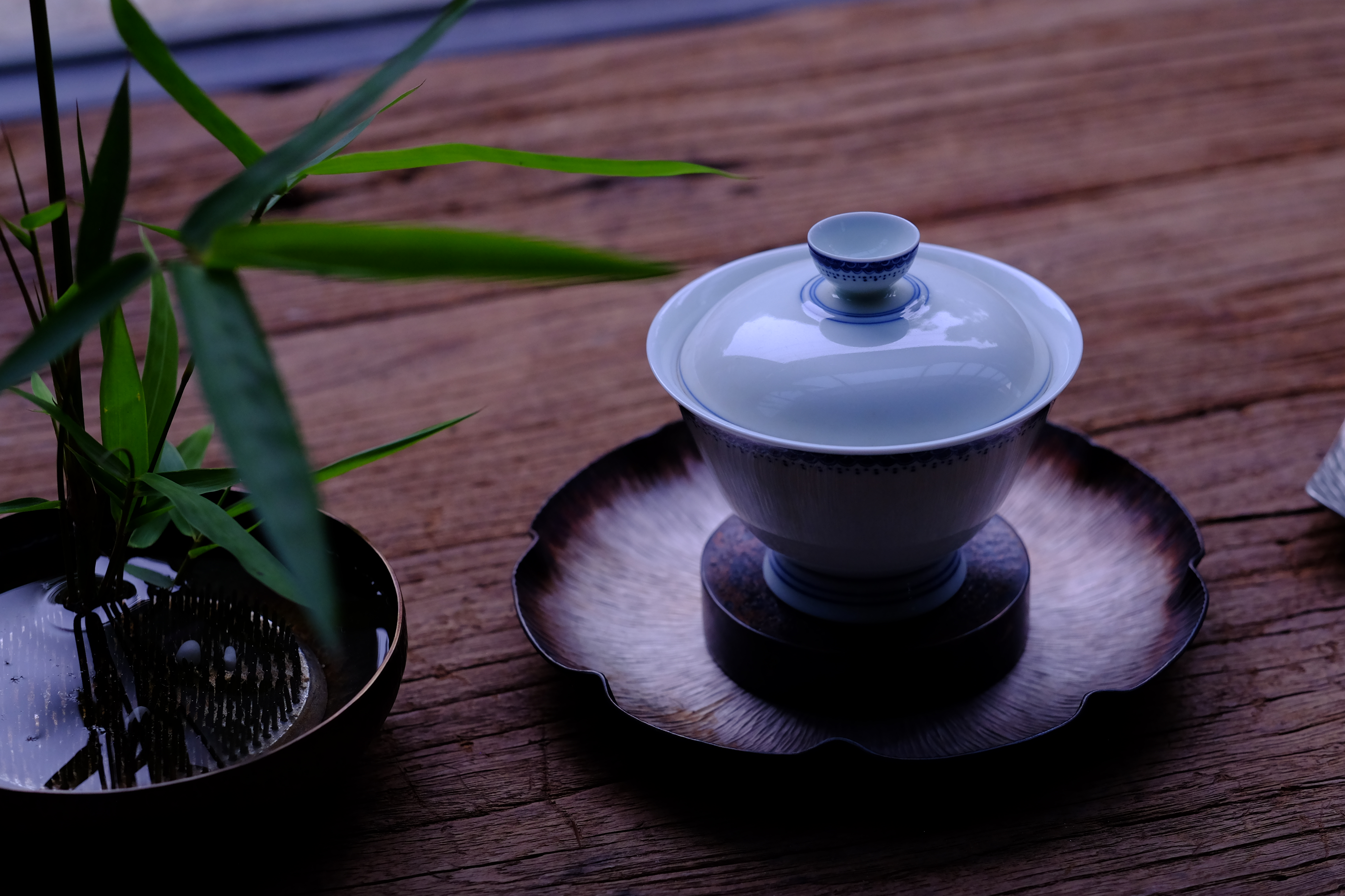 Tea Plant Teaceremony Teapot Black Cup China 4896x3264