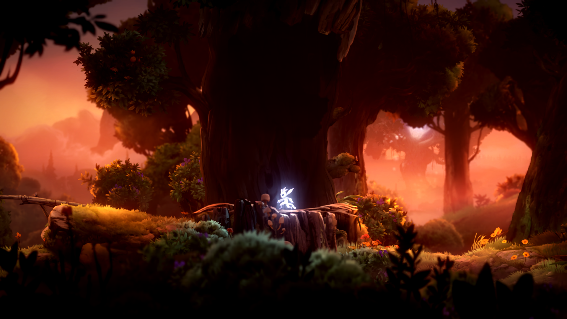 Ori Ori And The Will Of The Wisps Video Games 1920x1080