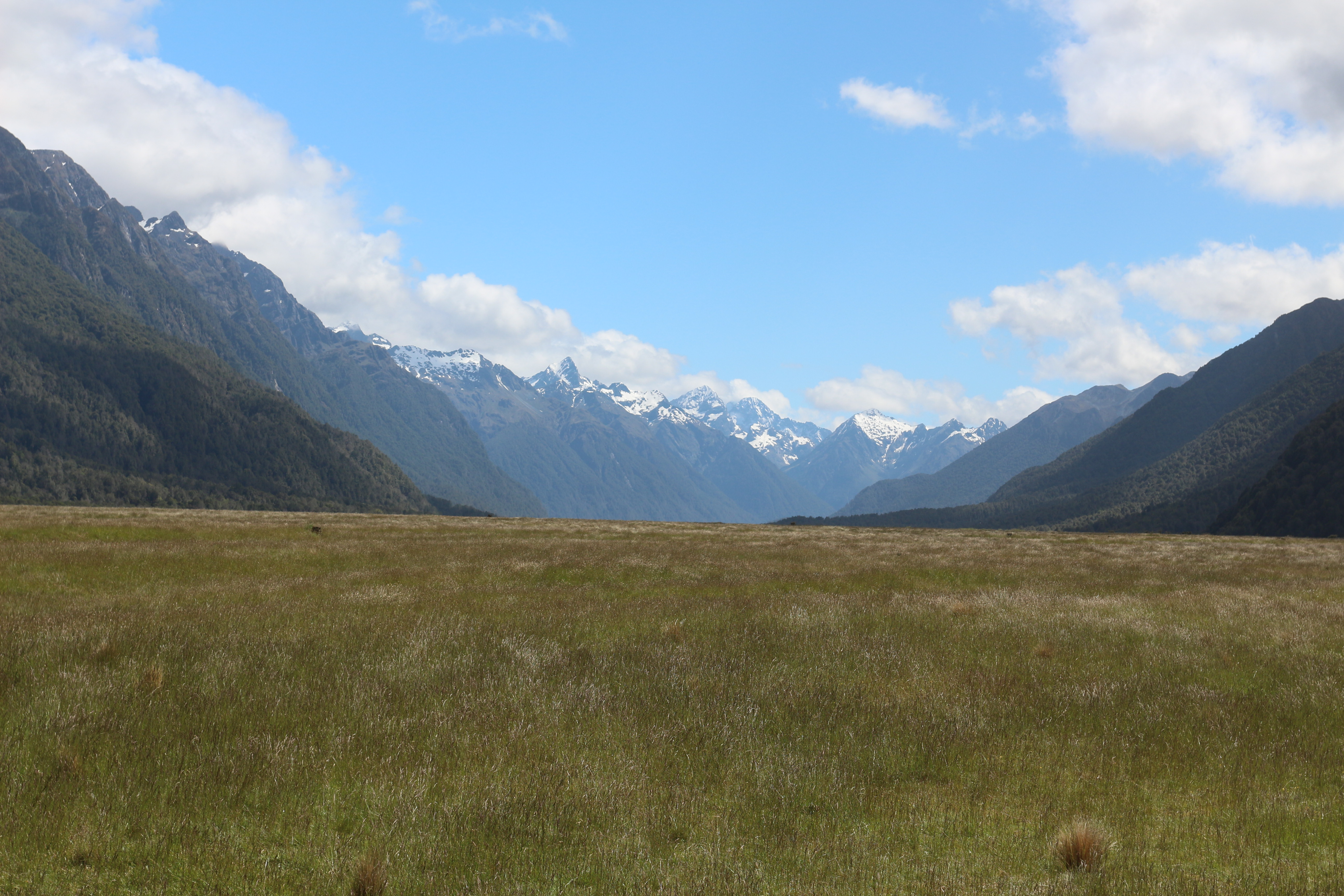 New Zealand Fiordland National Park Landscape 5184x3456