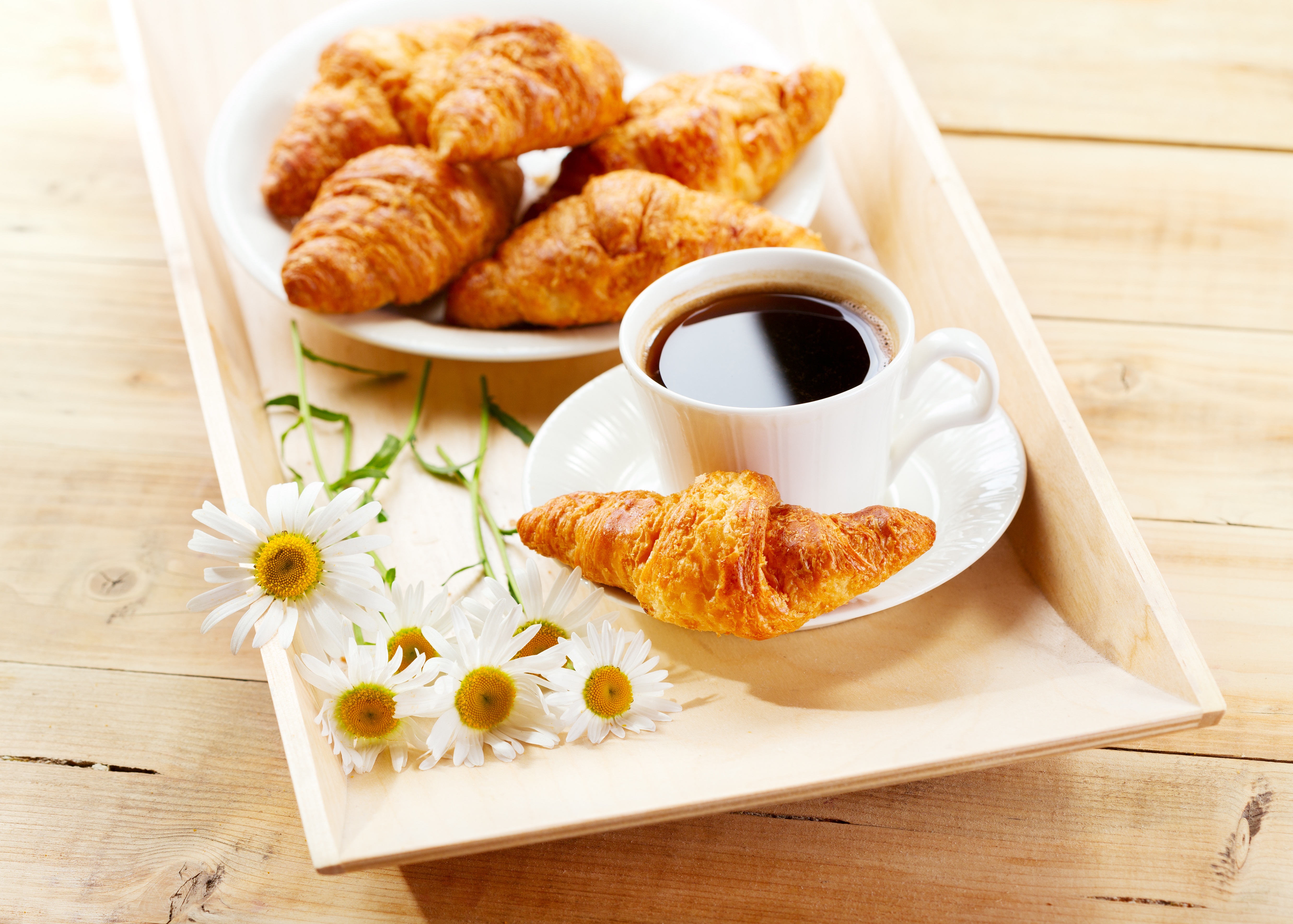 Breakfast Daisy Coffee Croissant Pastry 4950x3539