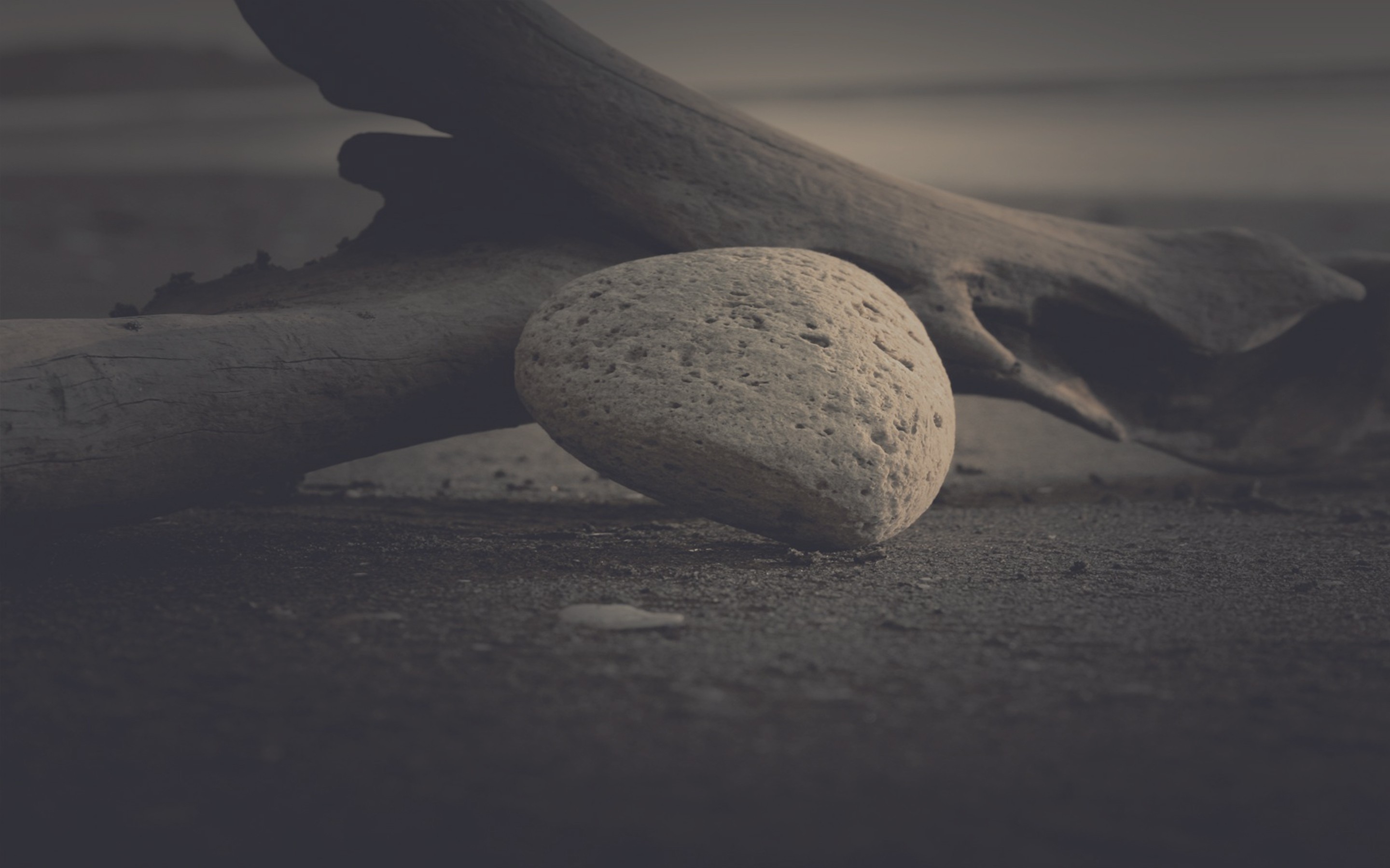 Stones Dry Monochrome Nature Dark Blurred Filter 2880x1800