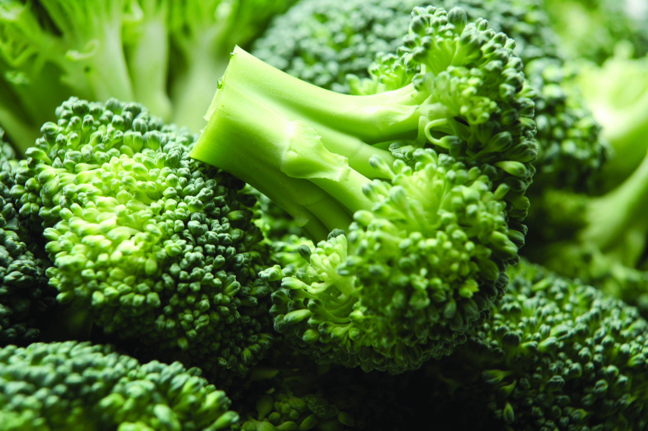 Food Broccoli 2716x1810