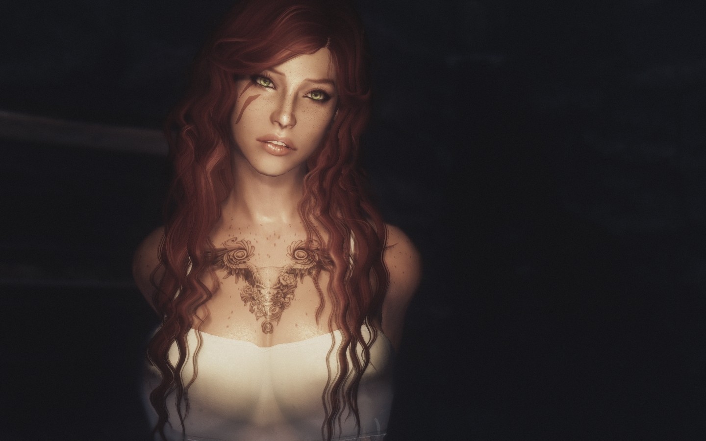 The Elder Scrolls V Skyrim ENB PC Gaming Video Games Long Hair Modding Video Game Girls 1440x900