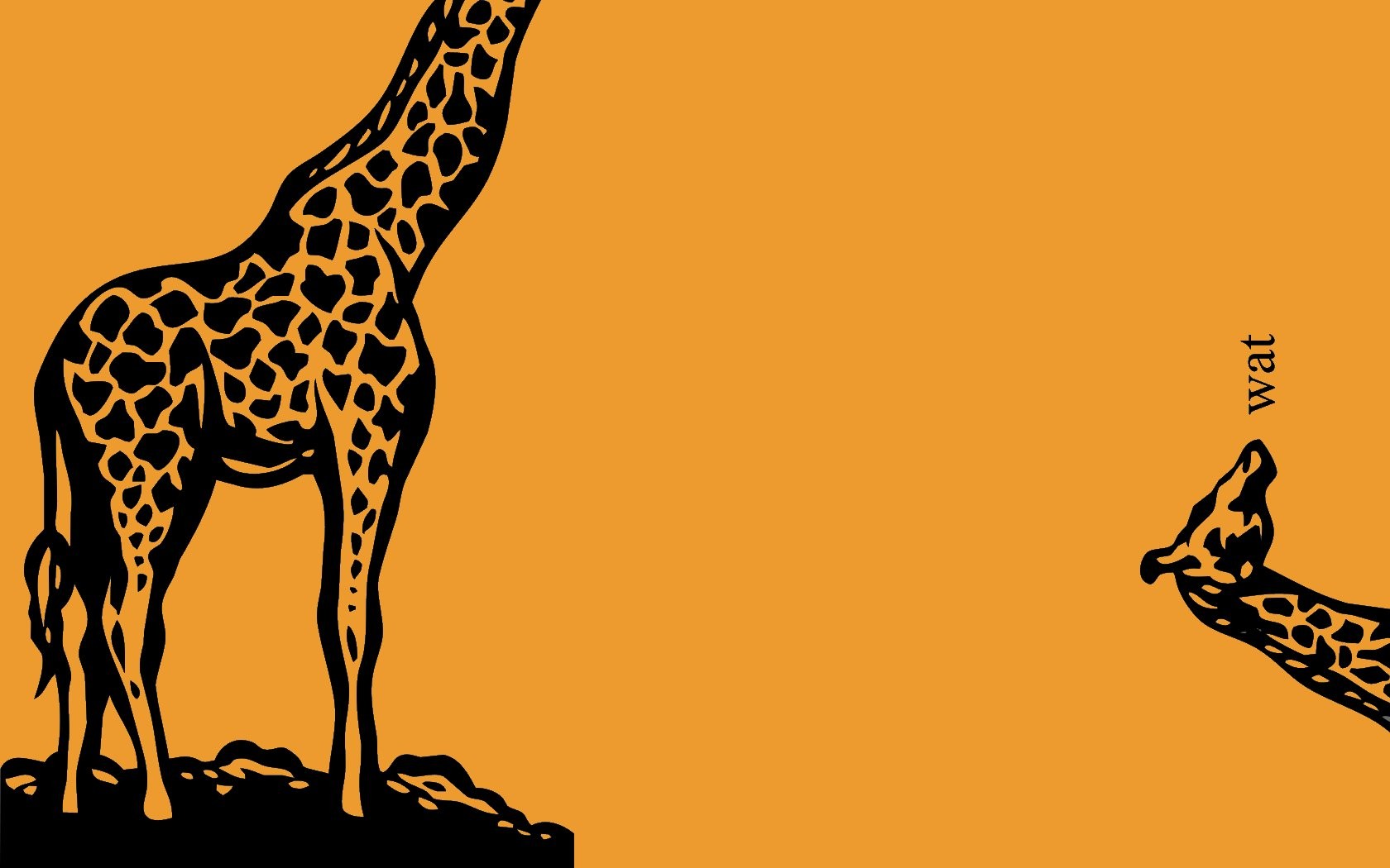 Giraffes 1680x1050