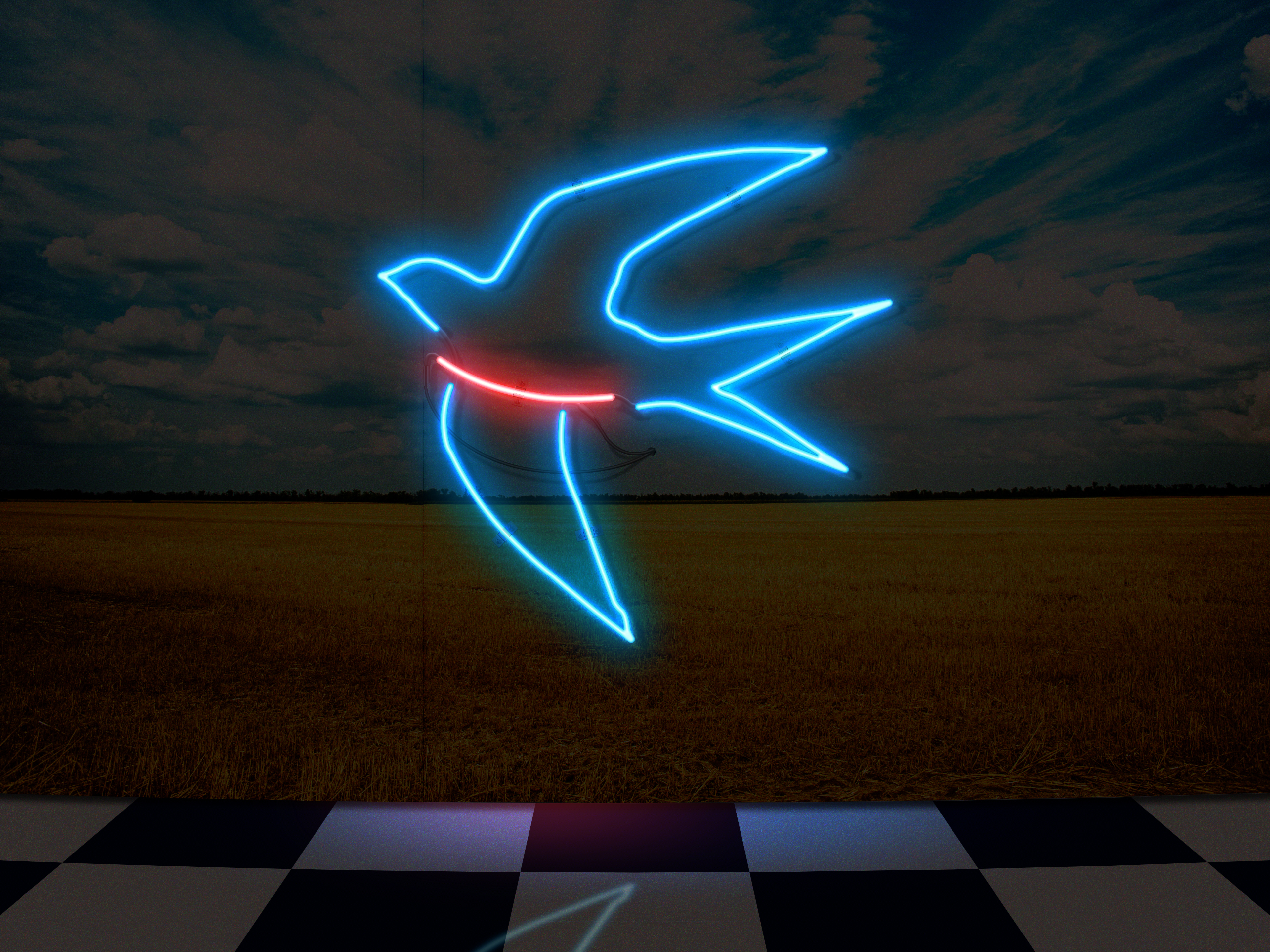 Neon Swallow Bird Artwork 3840x2880