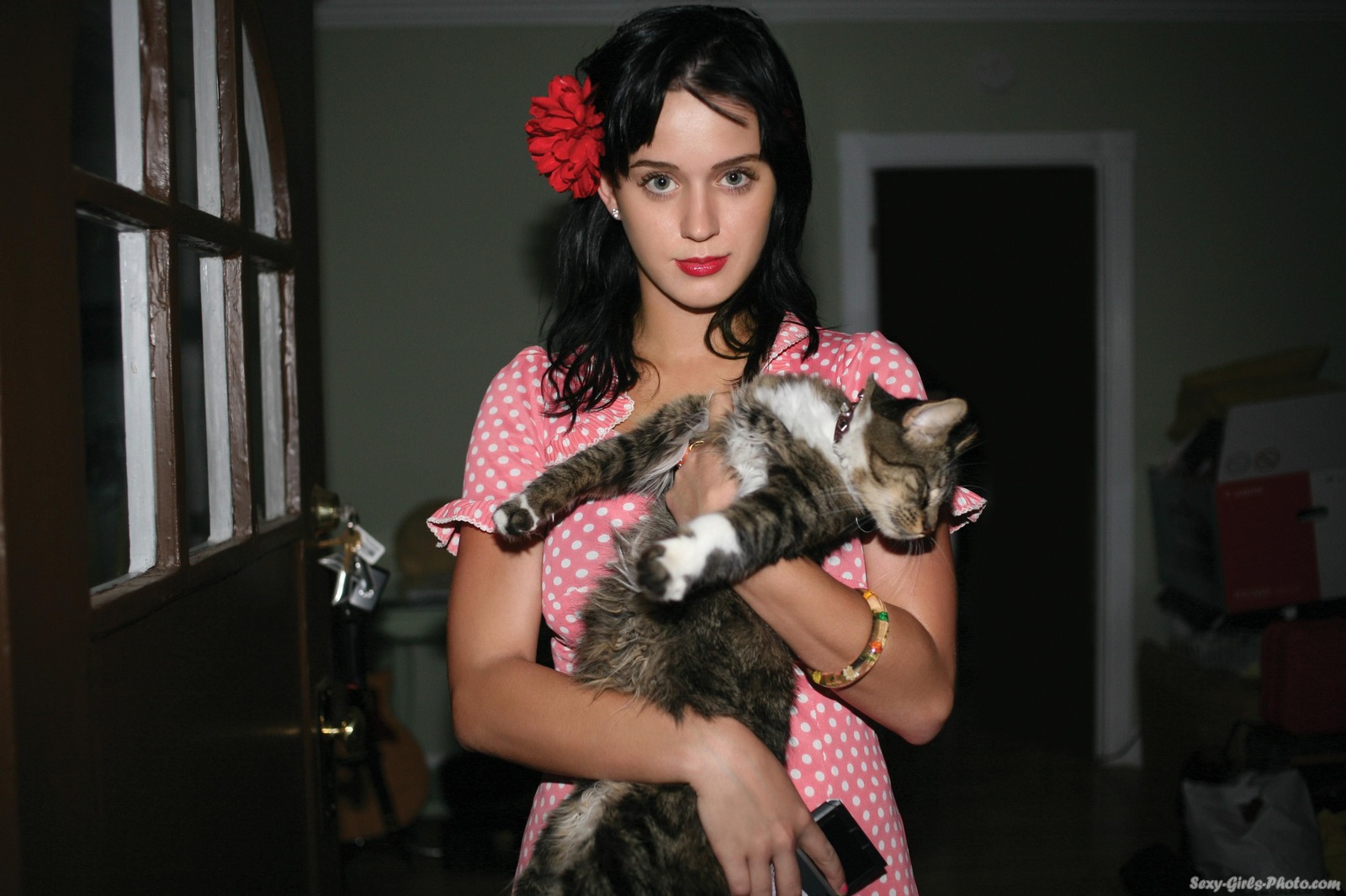 Katy Perry Singer Women Blue Eyes Cats Women With Cat Animals Flower In Hair Red Lipstick Dark Hair  1600x1066