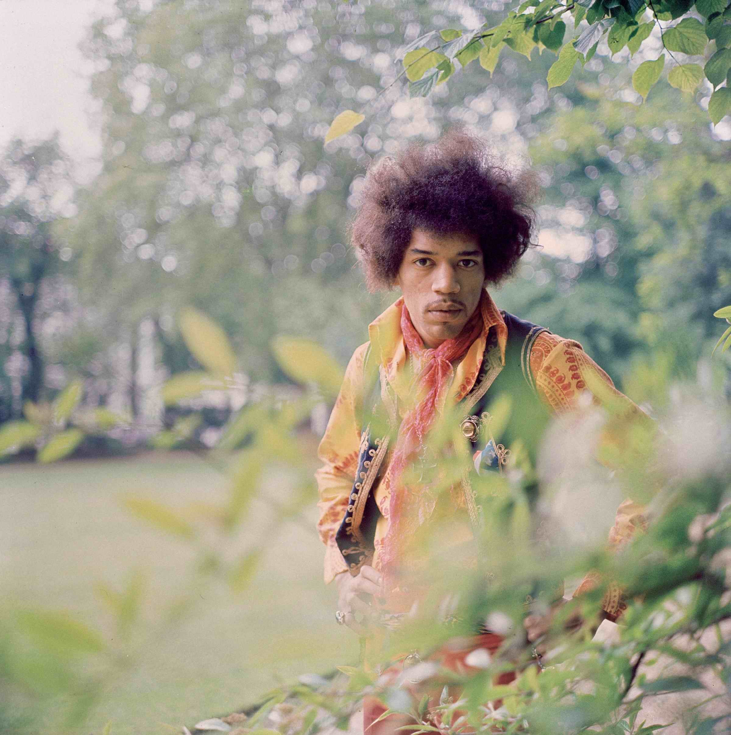 Men Singer Jimi Hendrix Guitar Blues Rock Legends Afro Looking At Viewer Nature Trees Musician 2400x2411