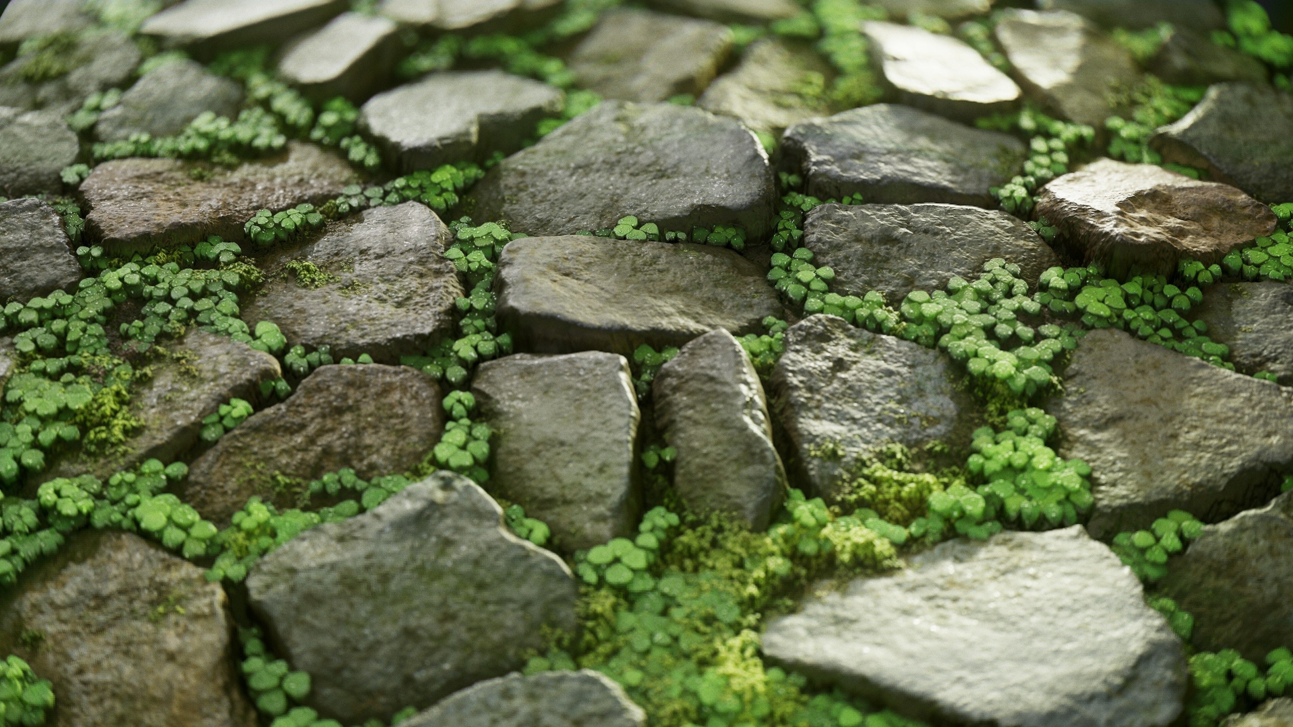 Grass Digital Art Cobblestone Rocks Nature Vasilina Sirotina Clovers Stones 2560x1440
