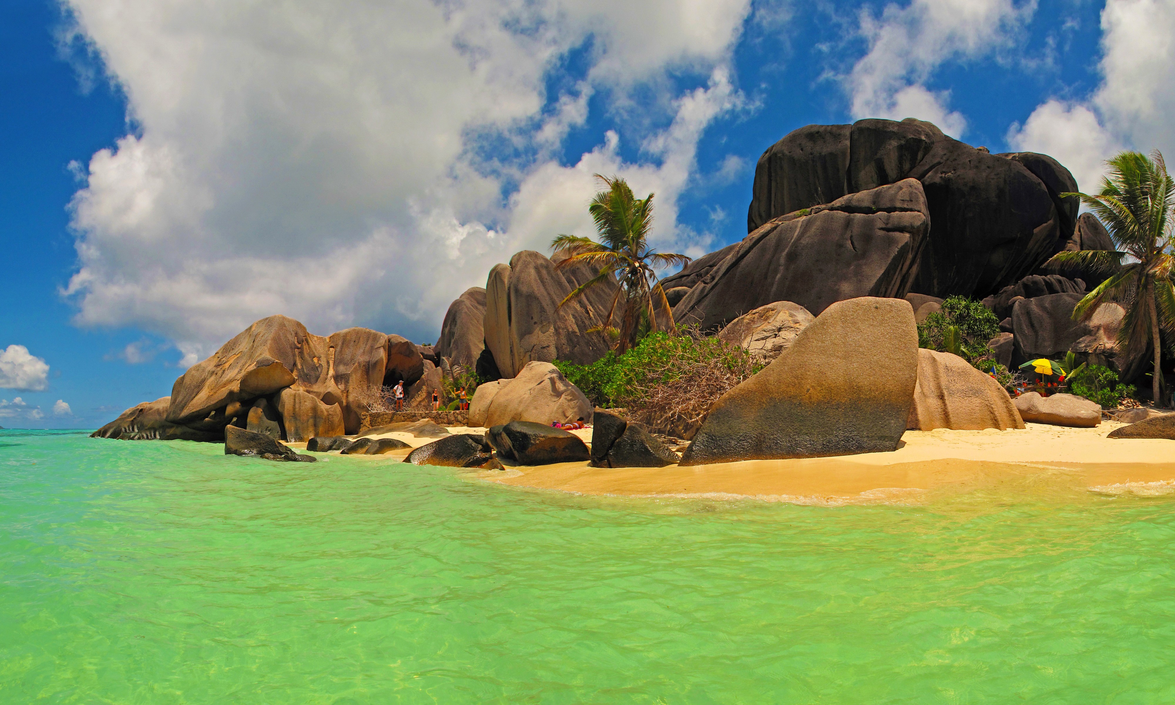 Landscape Tropical Beach Rocks Palm Trees Seychelles 4000x2400