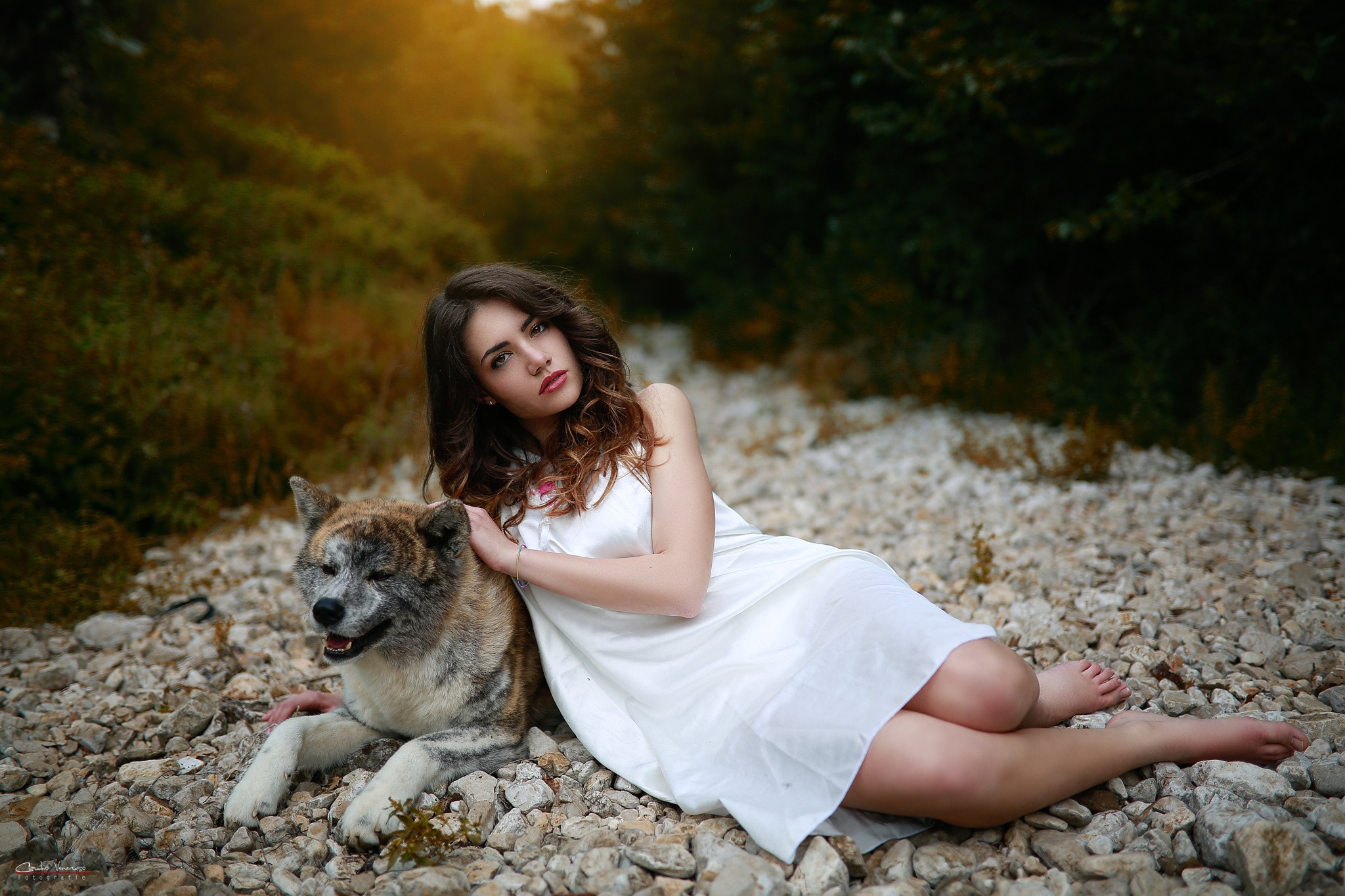 Women Brunette Brown Eyes Red Lipstick Legs Feet Dog Women Outdoors Dress Nature White Dress Women W 2048x1365