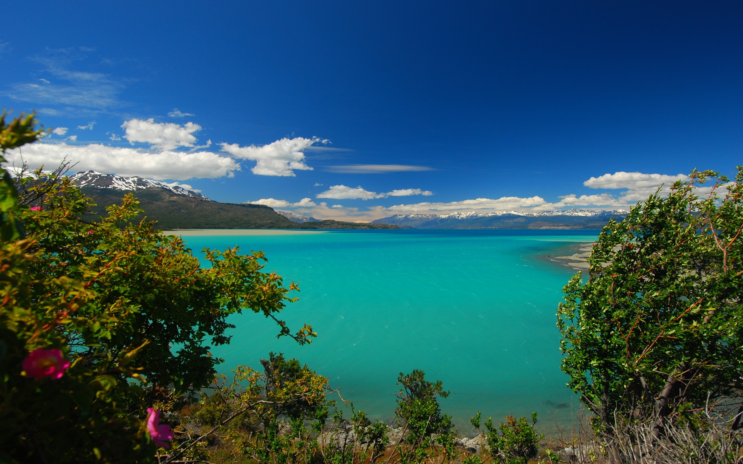 Nature Photography Landscape Lake Turquoise Water Trees Mountains Wildflowers Wind Clouds Patagonia  2900x1813