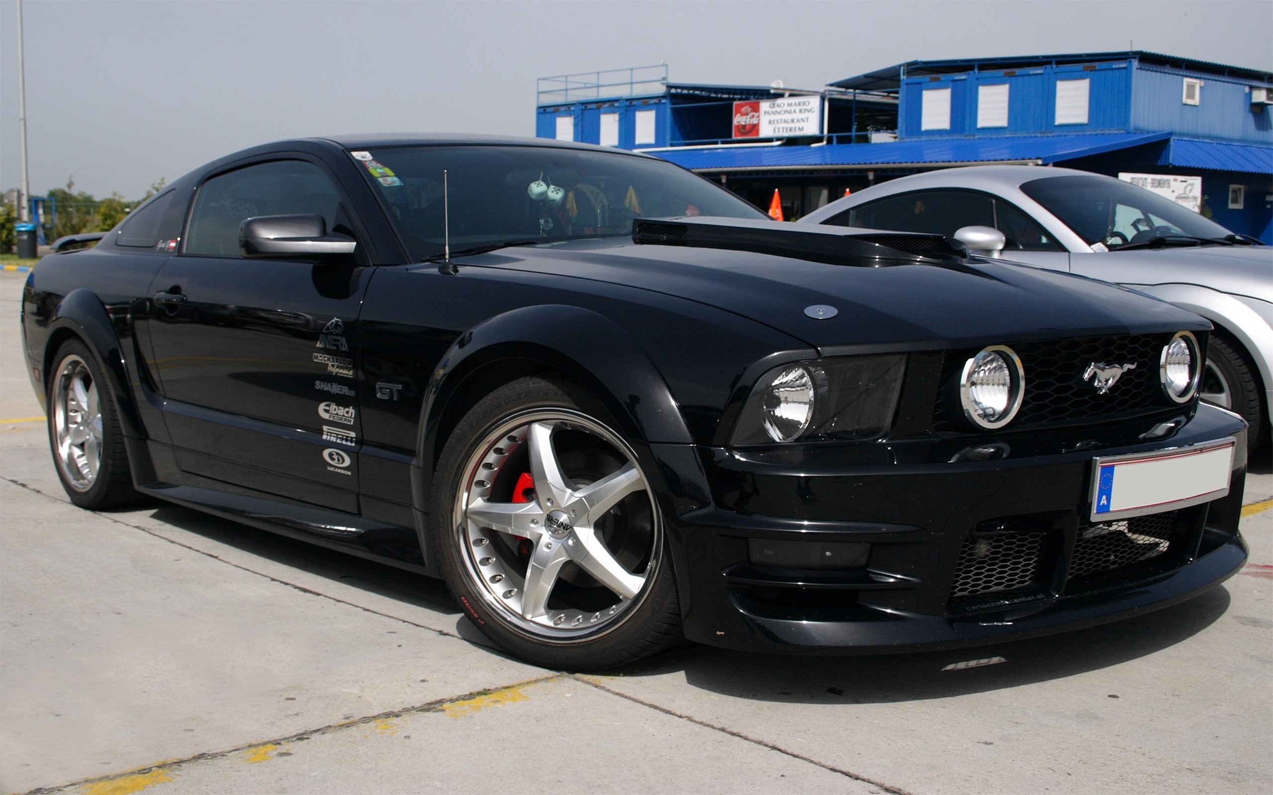 Car Mustang Gt500 Mustang Car Vehicle Black Cars 2560x1600