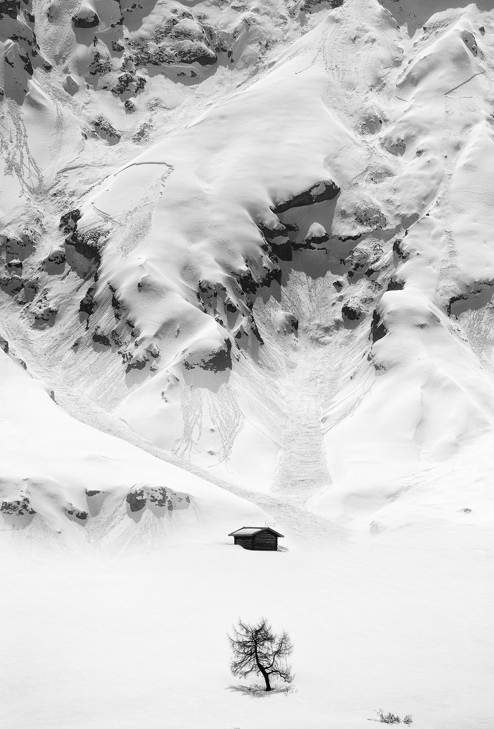 Nature Landscape Winter Snow White Portrait Display Cabin Mountains Monochrome Trees India Himalayas 1016x1500