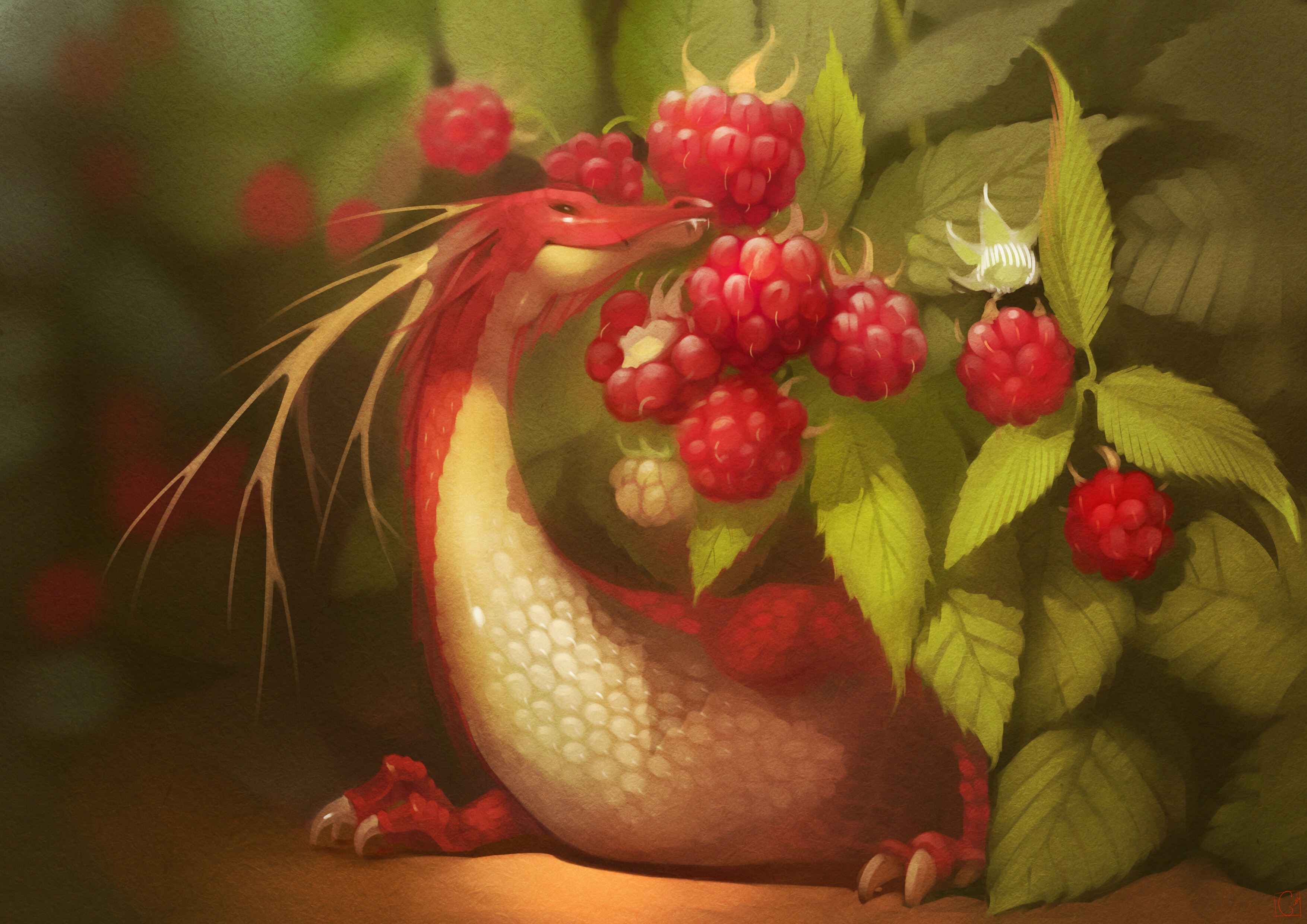 Digital Art Fantasy Art Dragon Rasberry 3508x2480