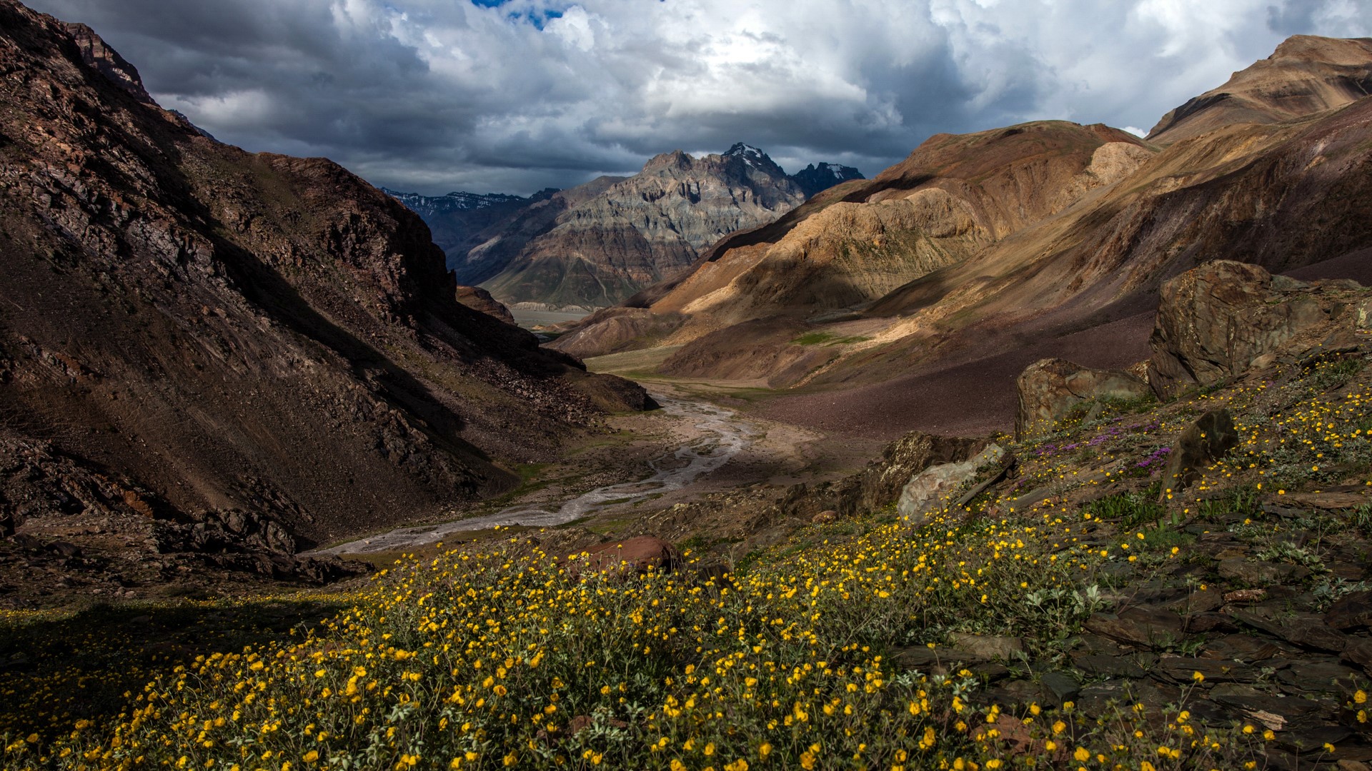 Nature Landscape Mountains Clouds Sky River Valley Plants Yellow Flowers Rocks Monsoon Spiti Valley  1920x1080