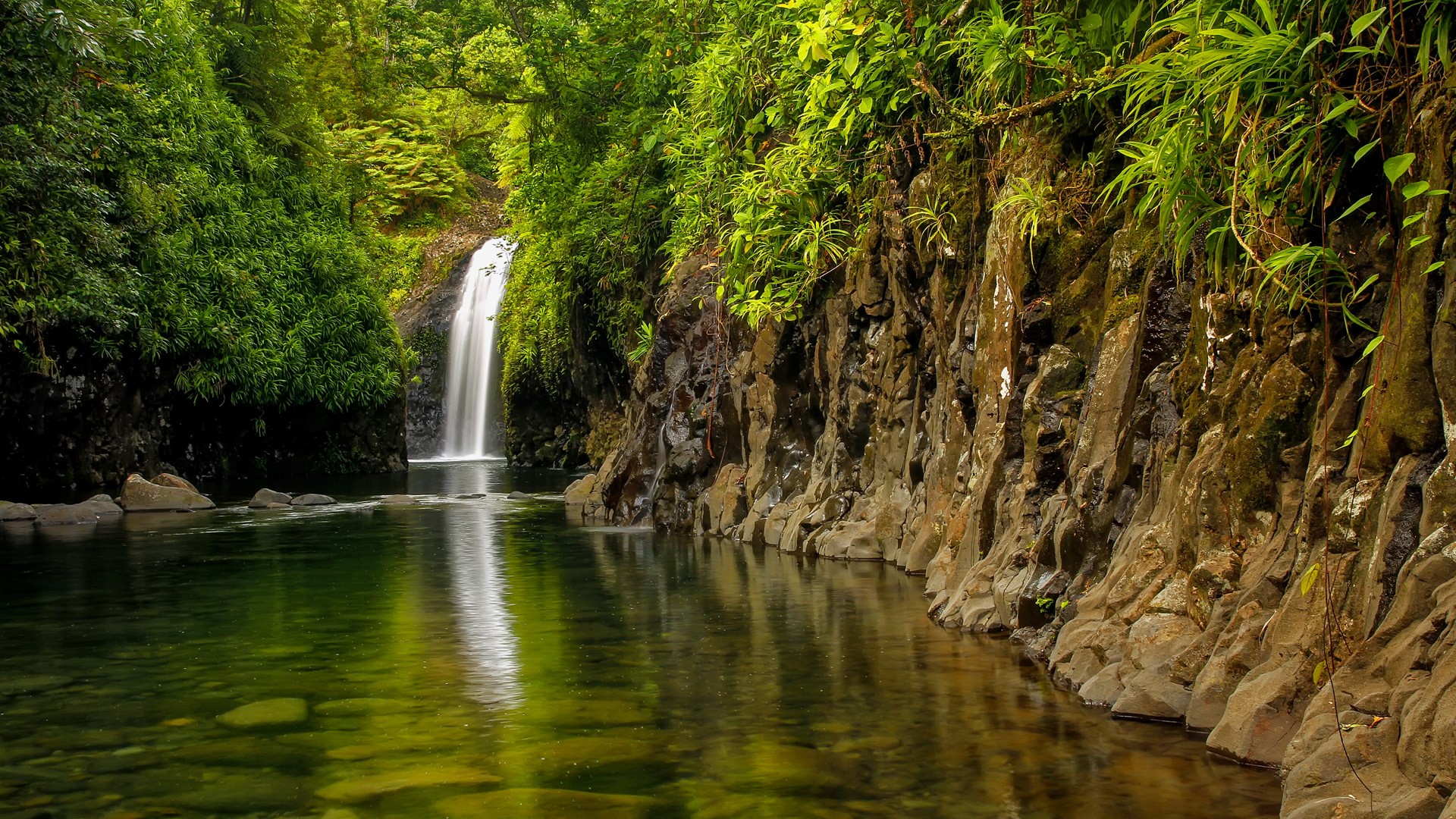 Nature Landscape Trees Forest Water Clear Water Rocks Plants Monsoon Waterfall Tropical Forest Fiji  1920x1080