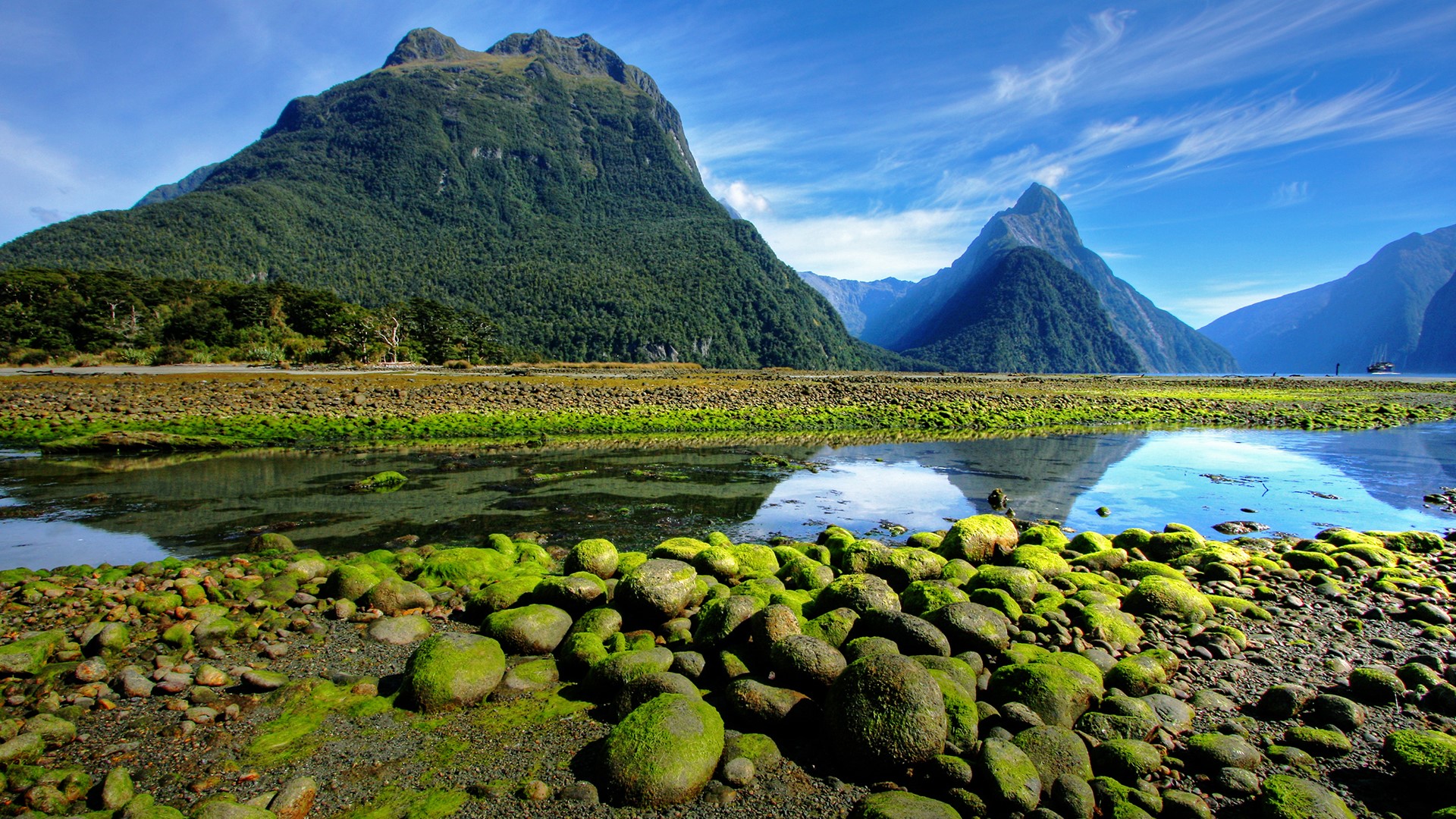 Nature Landscape Mountains Moss Rocks Water Clouds Sky Trees Forest Reflection New Zealand Milford S 1920x1080