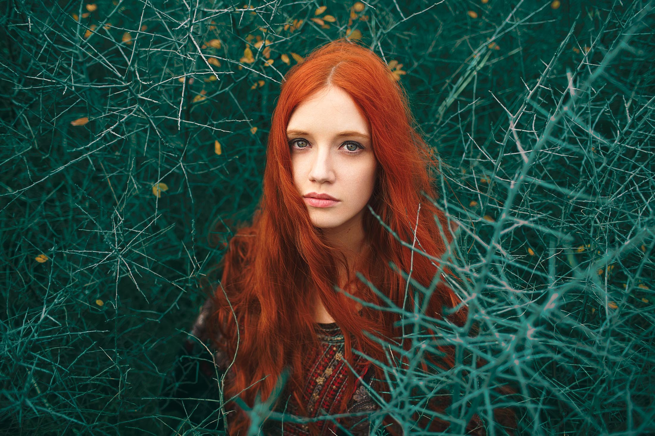 Women Redhead Hair In Face Windy Thorns Women Outdoors Looking At Viewer Long Hair Portrait 2200x1467