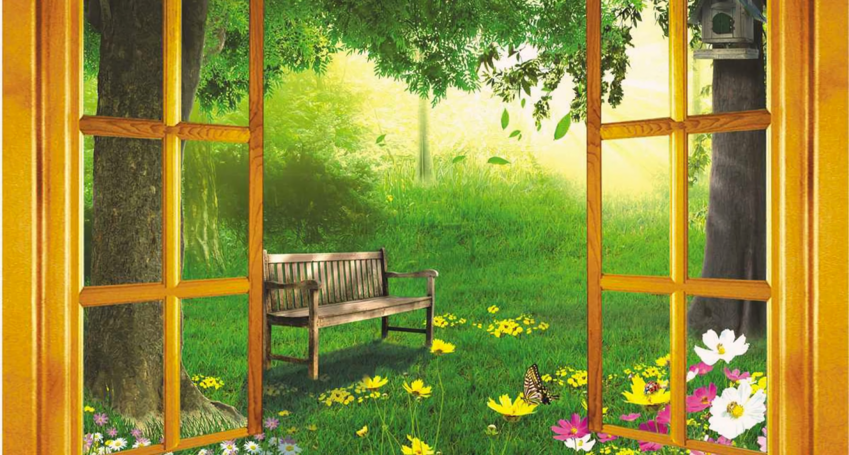 Artistic Window Spring Bench Tree Flower 1680x900