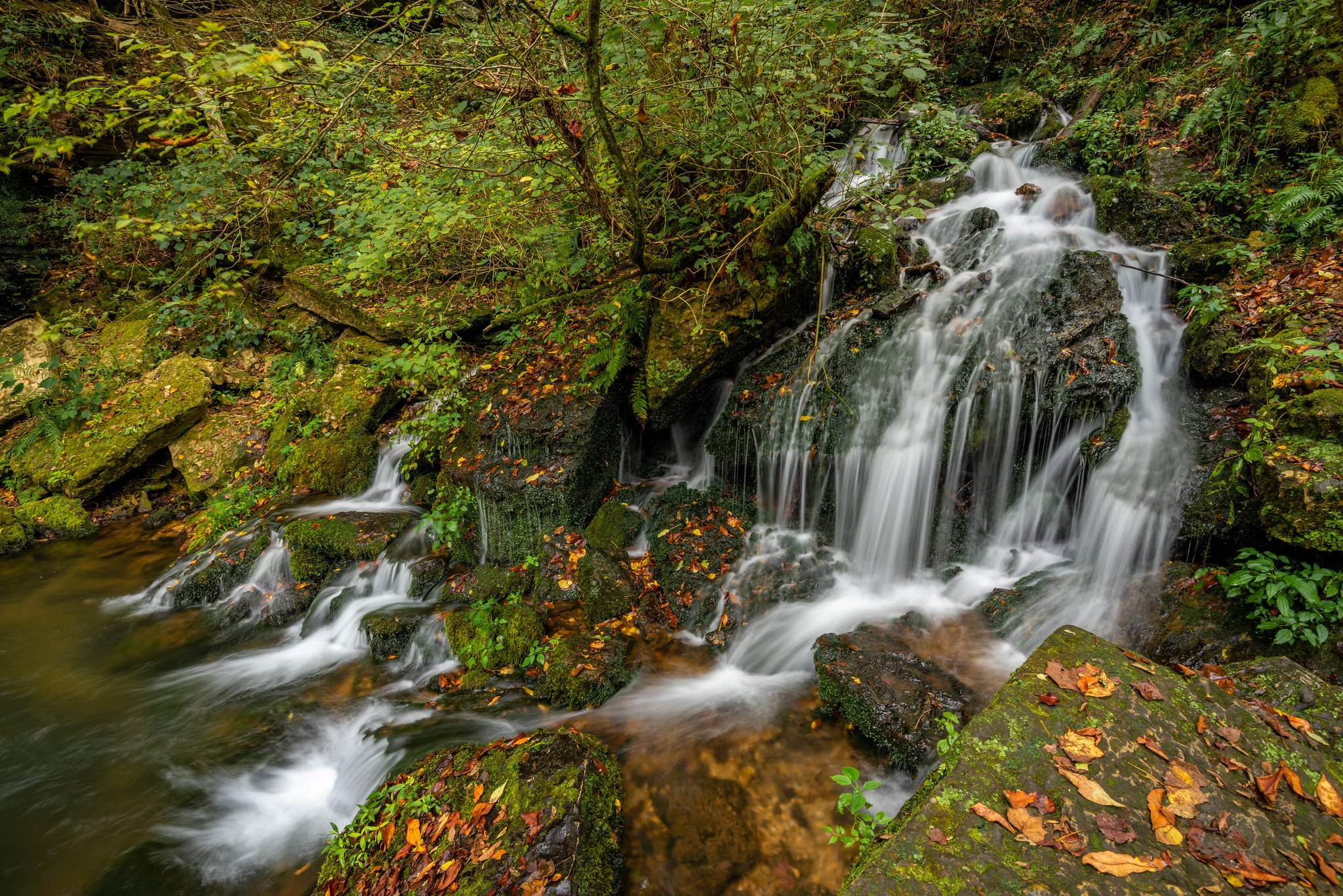 Tennessee Water Plants Nature Waterfall Fall 2048x1367