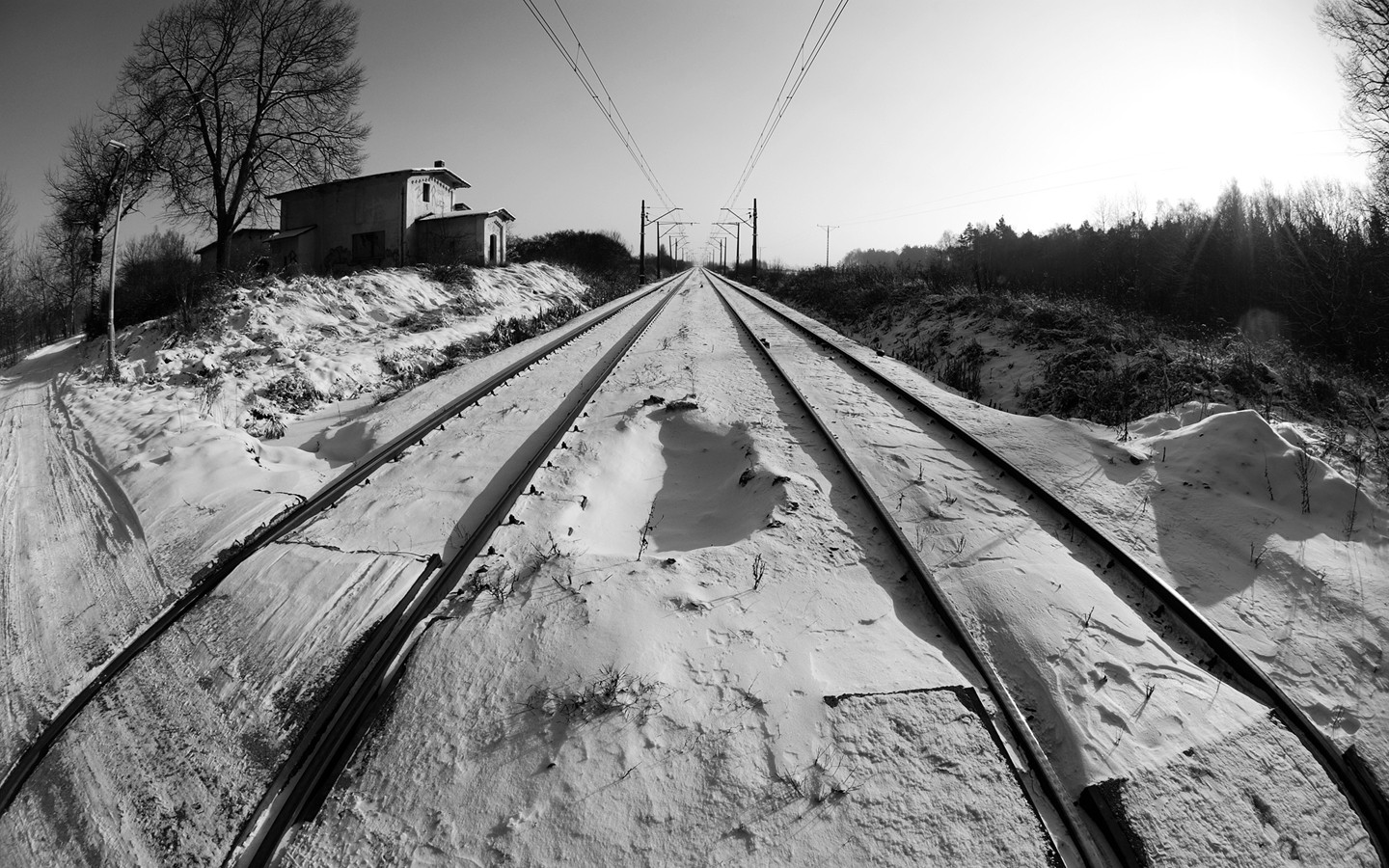 Winter Tracks Railway Snow Black White Cold Sun Trees Horizon Depth Of Field 1440x900