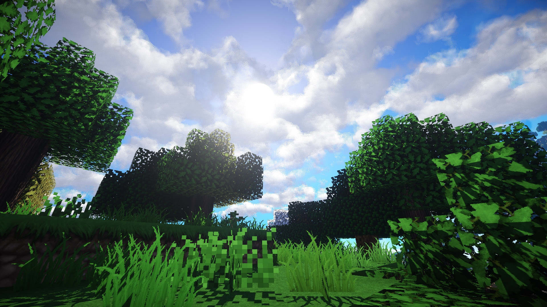 Minecraft Mojang Video Game Forest Grass Sky 1920x1080