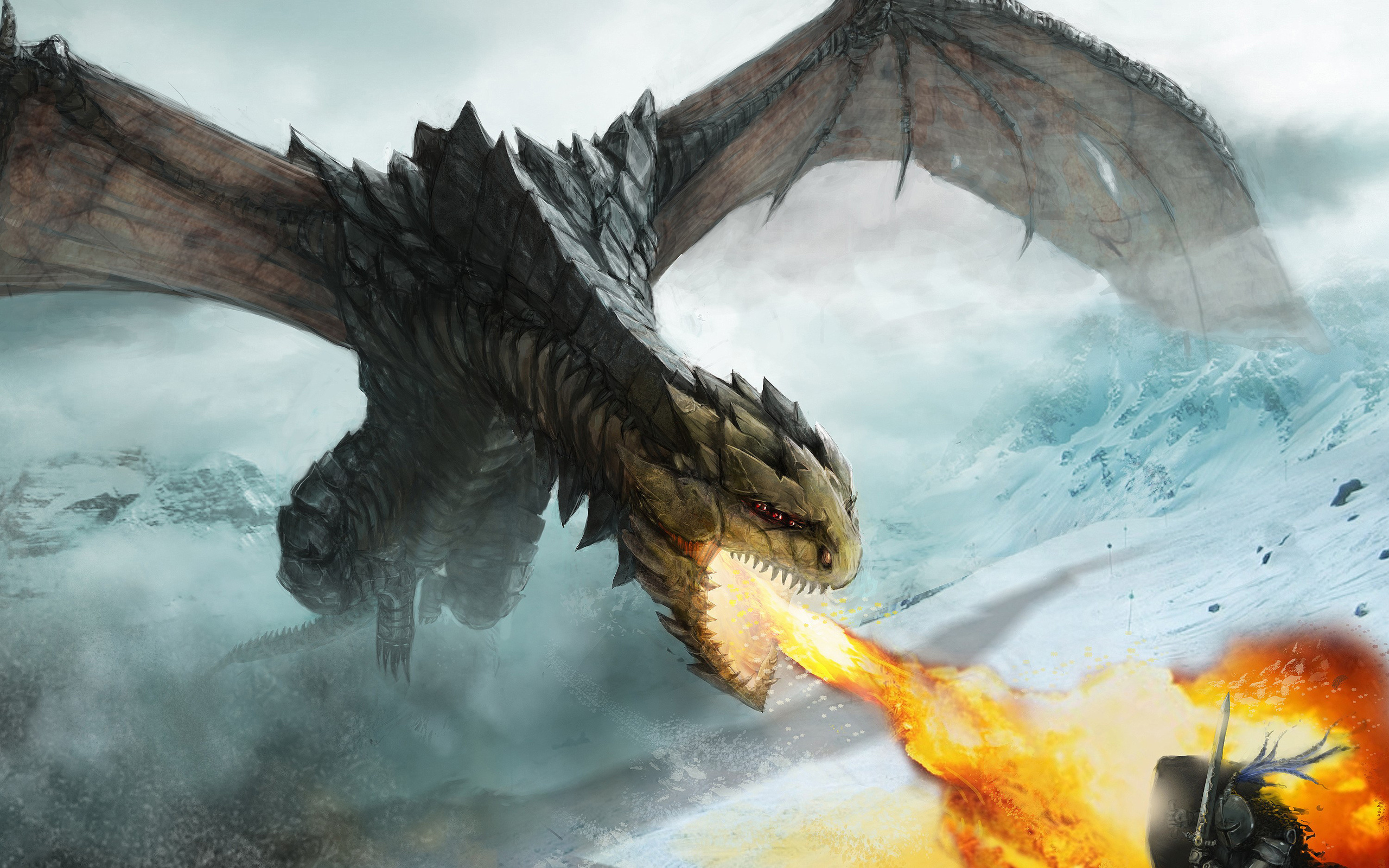 Dragon Wyvern Battle Dragon Attack 2560x1600