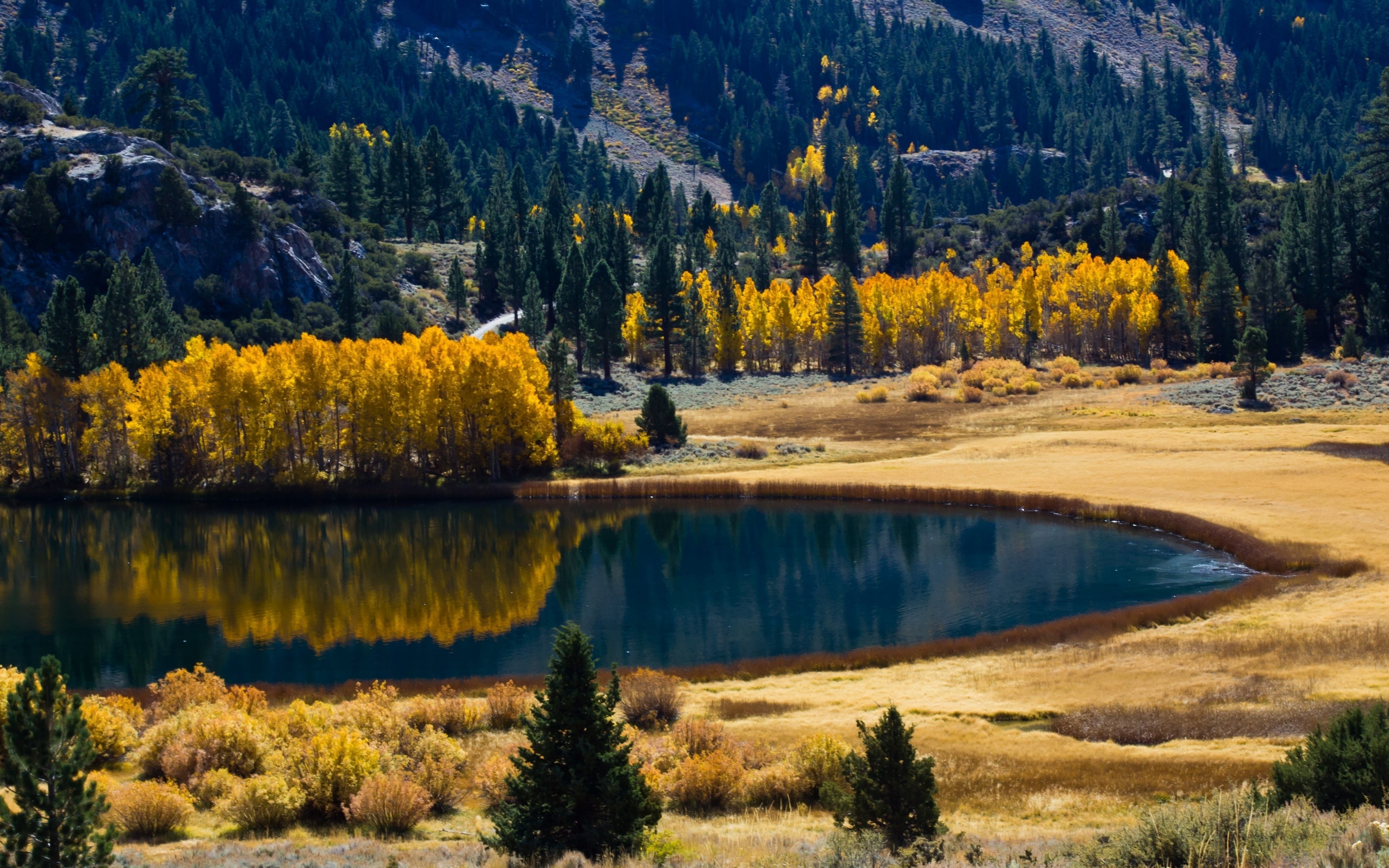 Nature Lake Fall Landscape Dry Grass Reflection Forest 3840x2400