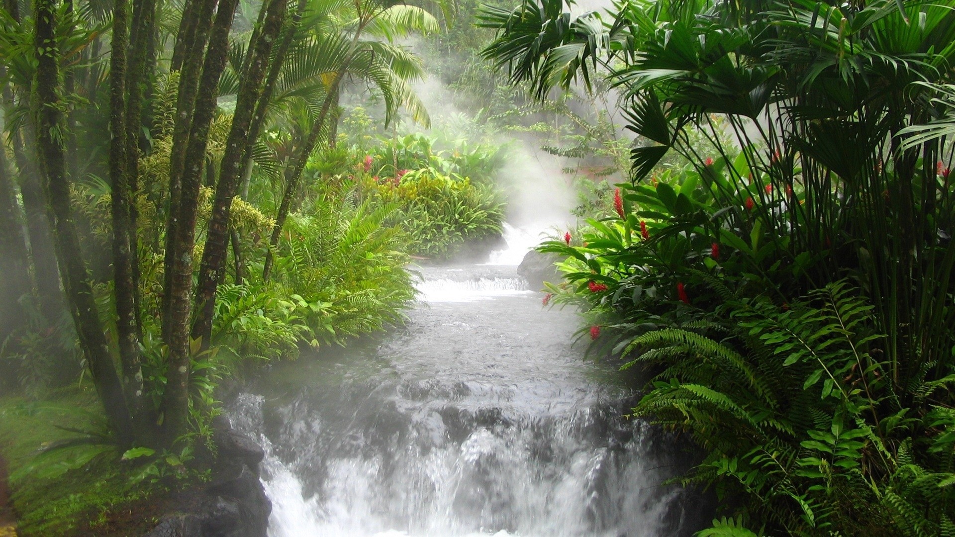 Landscape River Tropical Tropical Forest Waterfall 1920x1080
