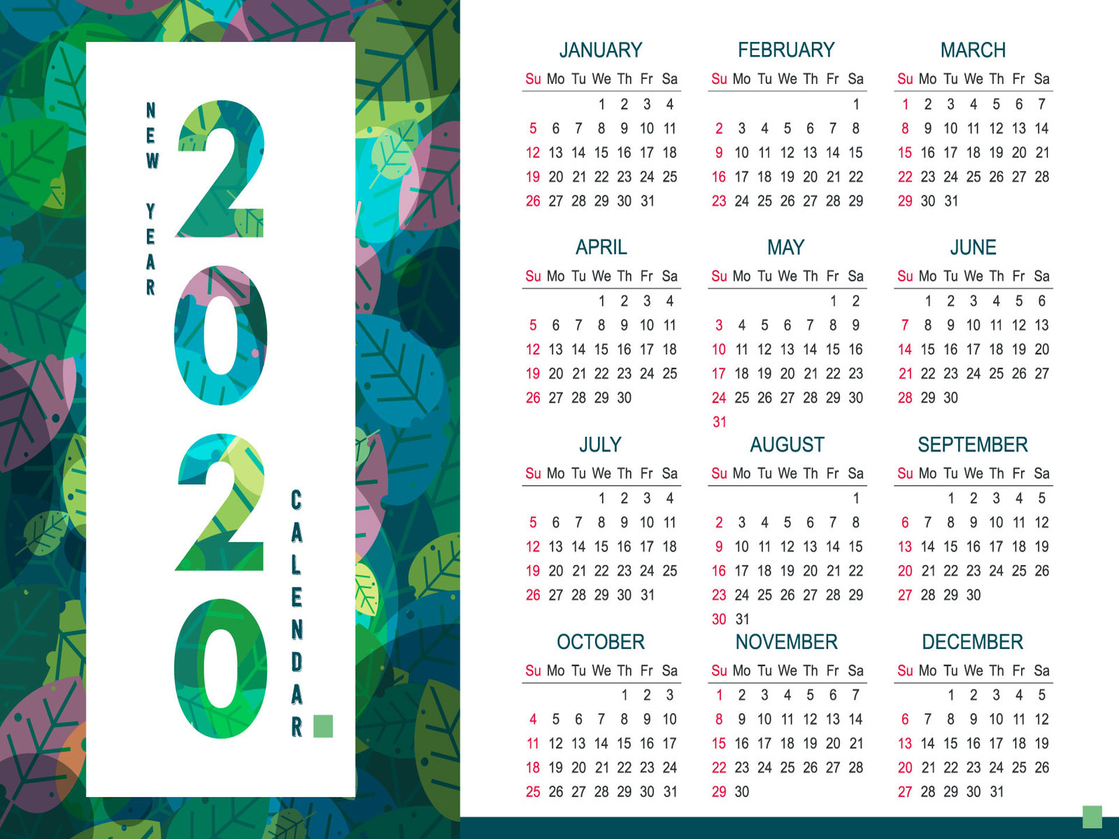 Calendar 2020 Year Numbers Month Leaves 1600x1200