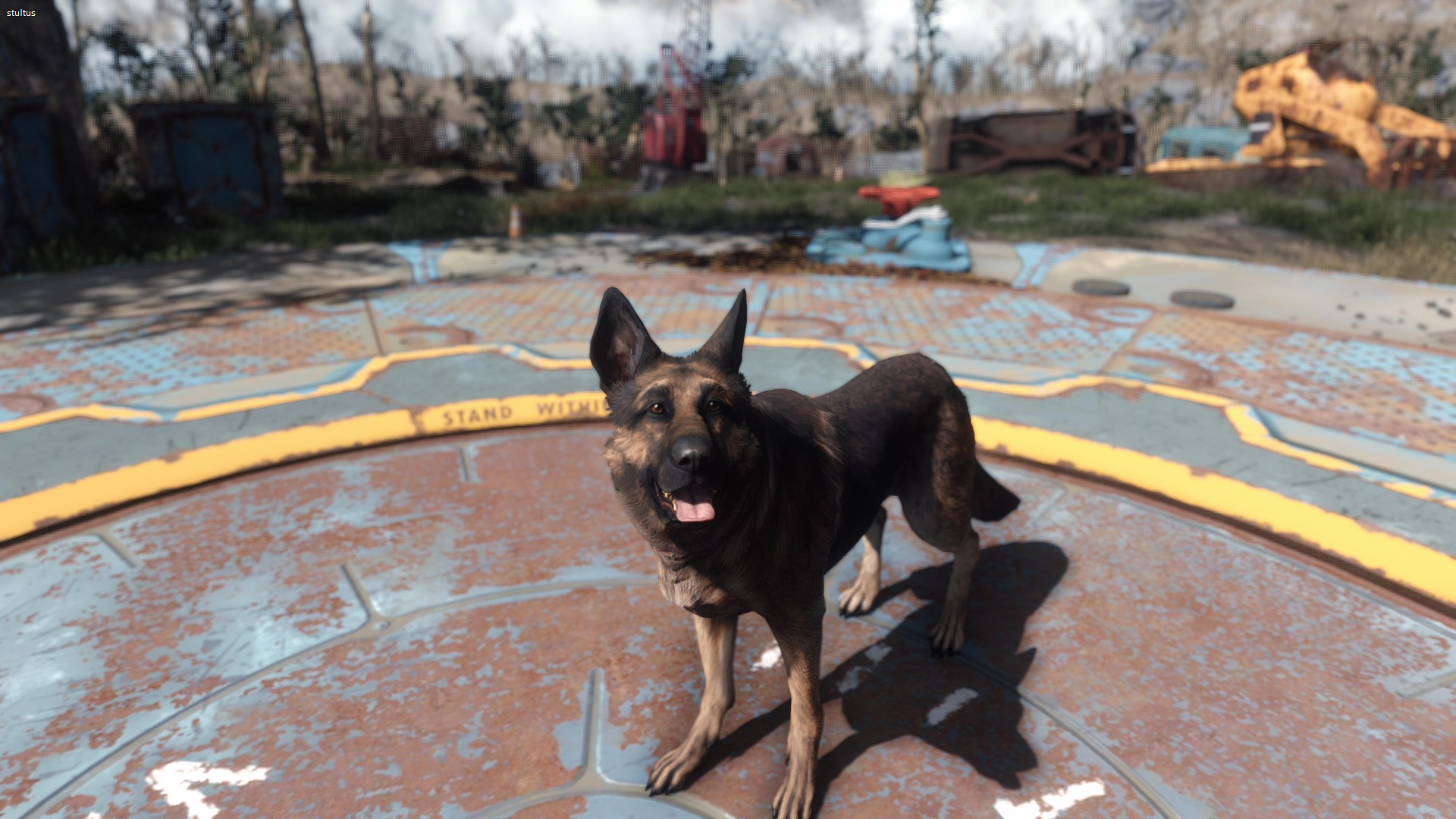 Fallout Fallout 4 Dog Dogmeat Video Games Bethesda Softworks 1920x1080