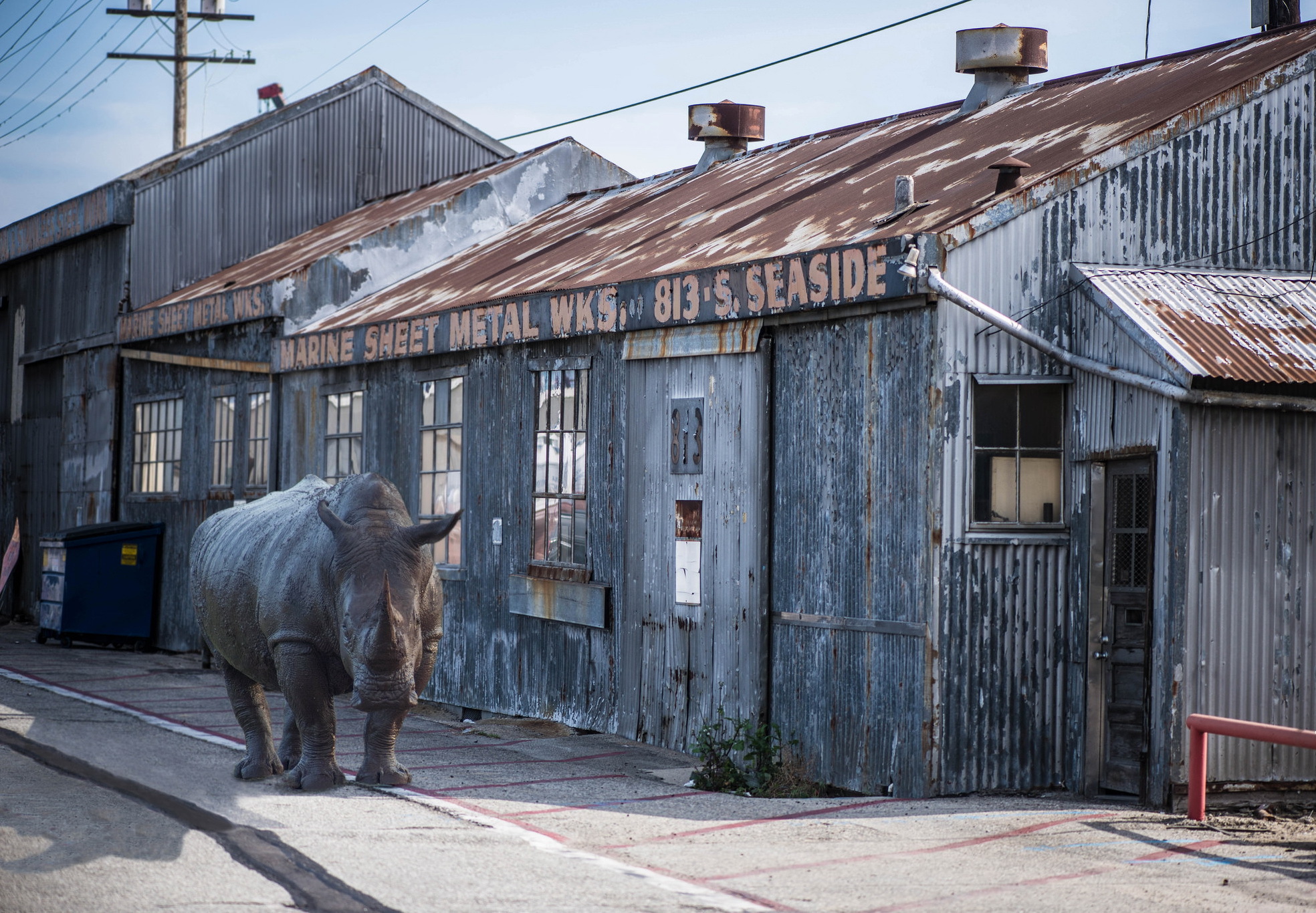 Rhino Animals Street Rust Sidewalks Pavements Workshop Workshops Factory Metal 1968x1366
