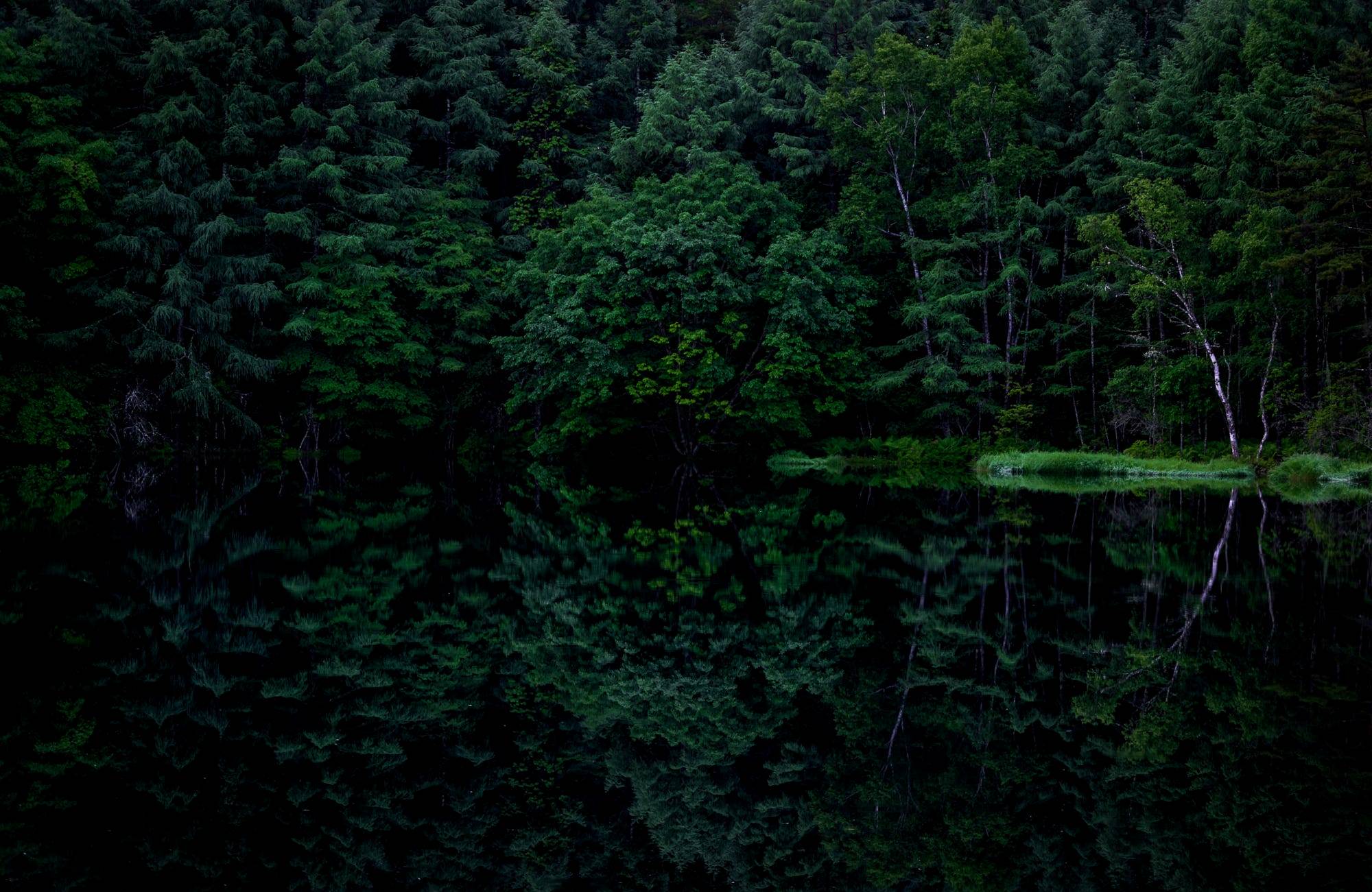 Dark Reflection Forest Trees Lake Calm Waters Green 2000x1301