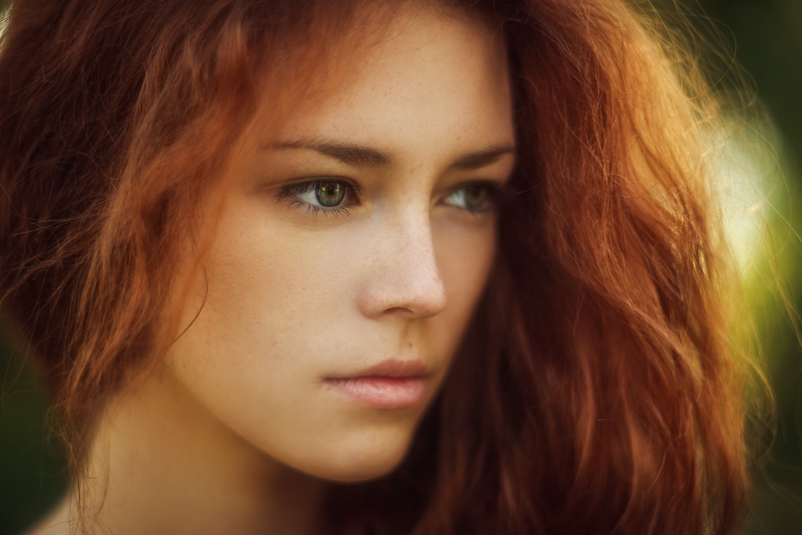 Women Long Hair Face Redhead Eyes Depth Of Field Eyebrows 1600x1067