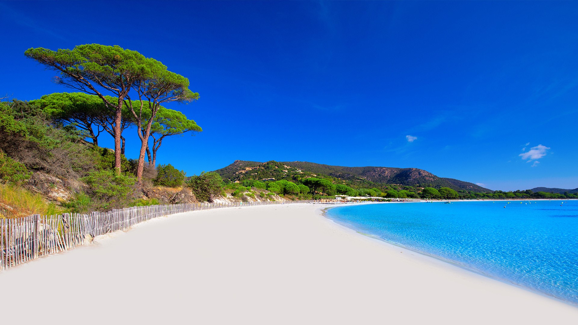Nature Landscape Sand Water Trees Coast Clear Sky Corsica France 1920x1080