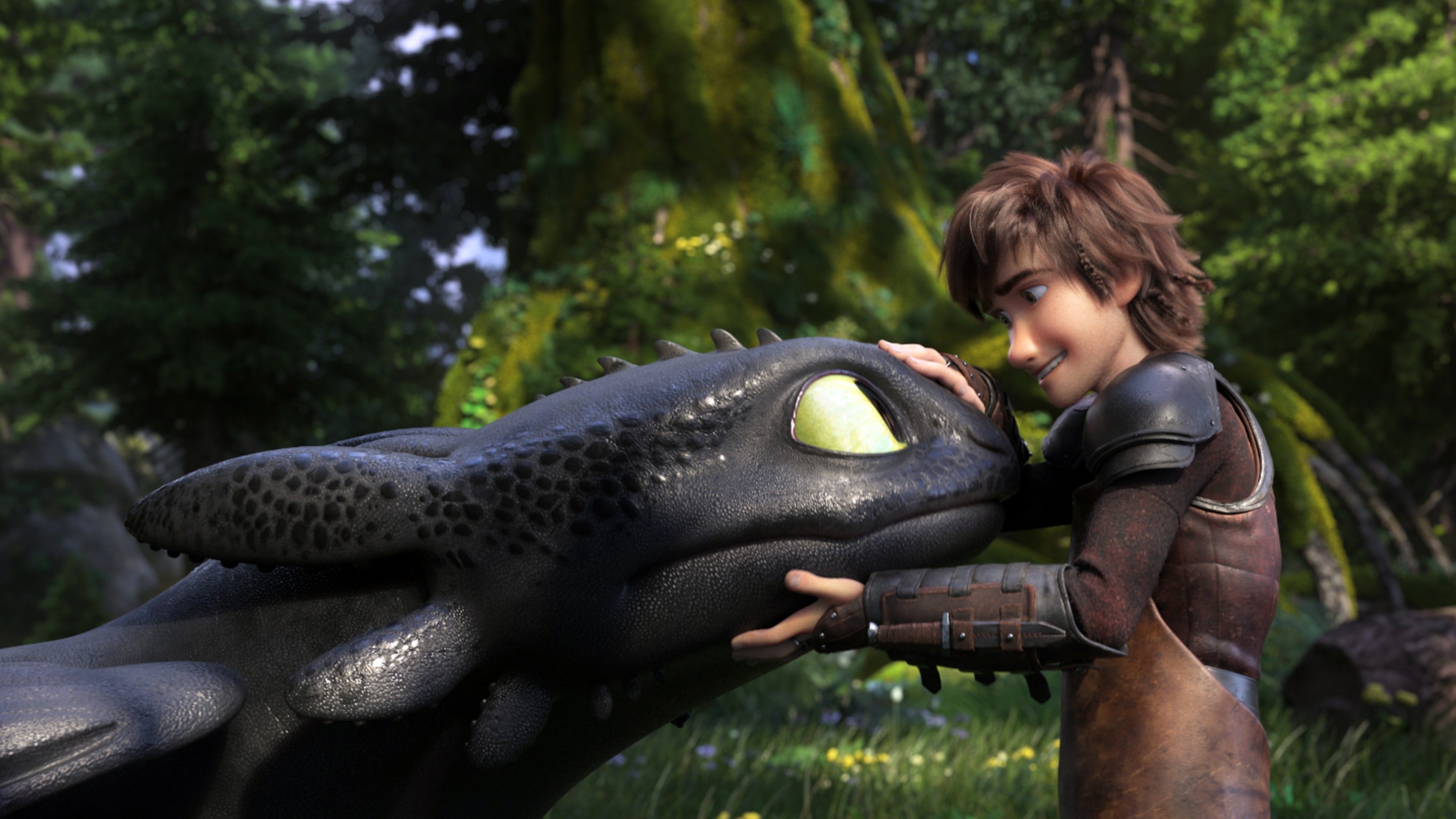 How To Train Your Dragon 3 How To Train Your Dragon 3 Dragon Animation Cartoon 3840x2160