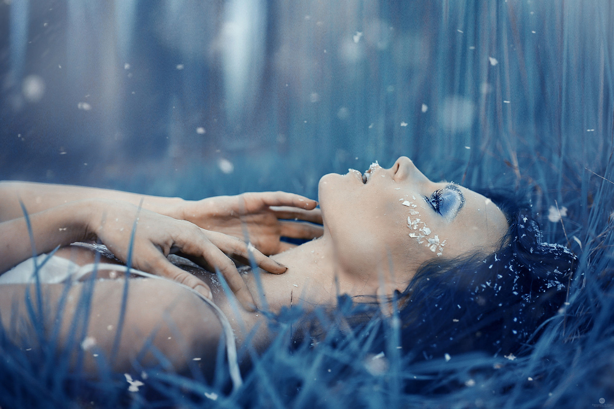 Women Long Hair Blue Hair Snow Nature Grass Hands On Chest Make Up Fashion Alessandro Di Cicco 2000x1333