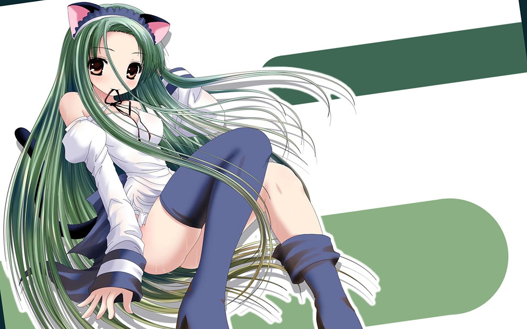 Cat Girl Anime Anime Girls Green Hair Thigh Highs The Melancholy Of Haruhi Suzumiya Tsuruya Long Hai 1680x1050