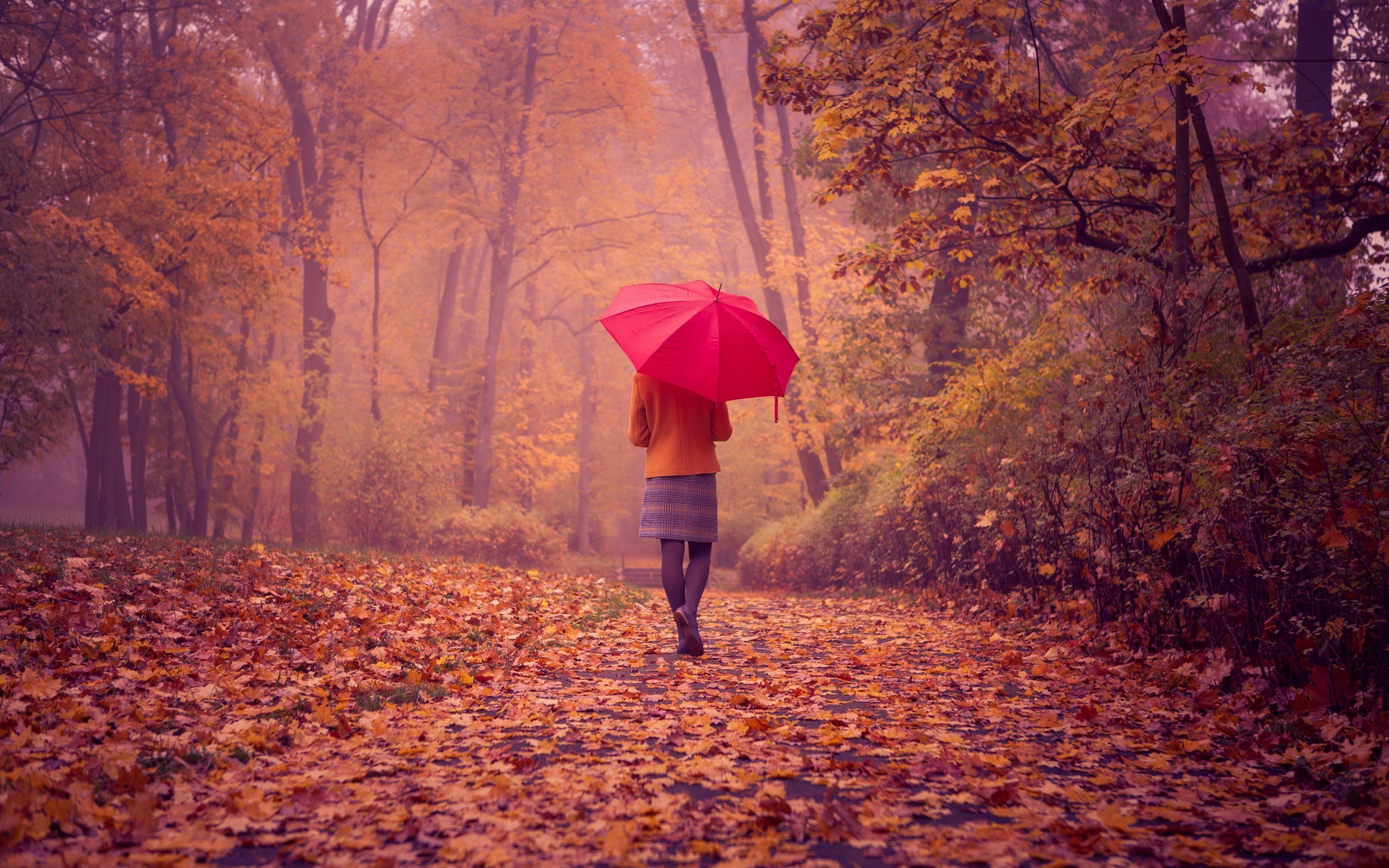 Women Women Outdoors Red Umbrella Fall Red Leaves Forest Trees Emotion Walking Rain 3840x2400